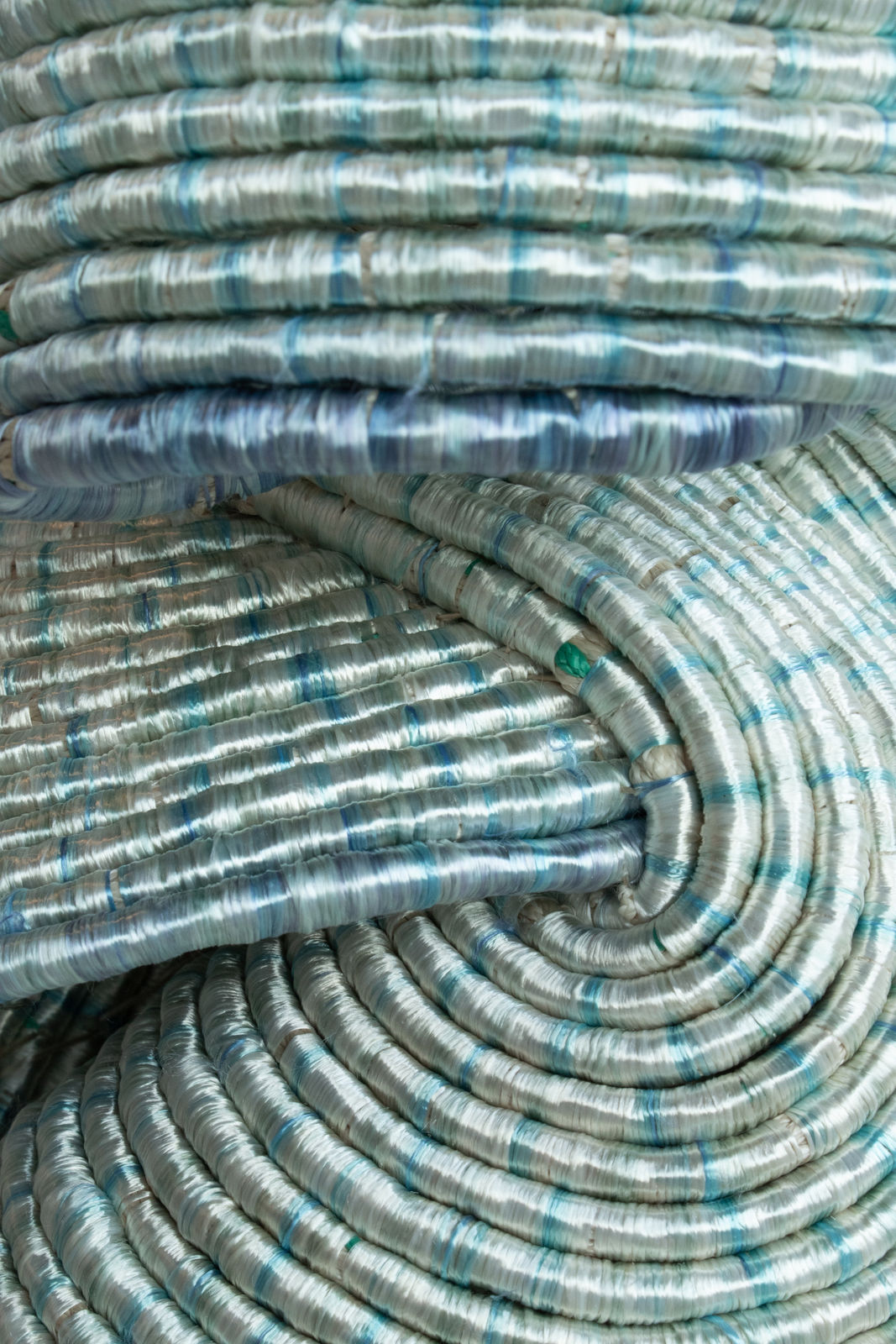 Joana Schneider, Blue mushroom