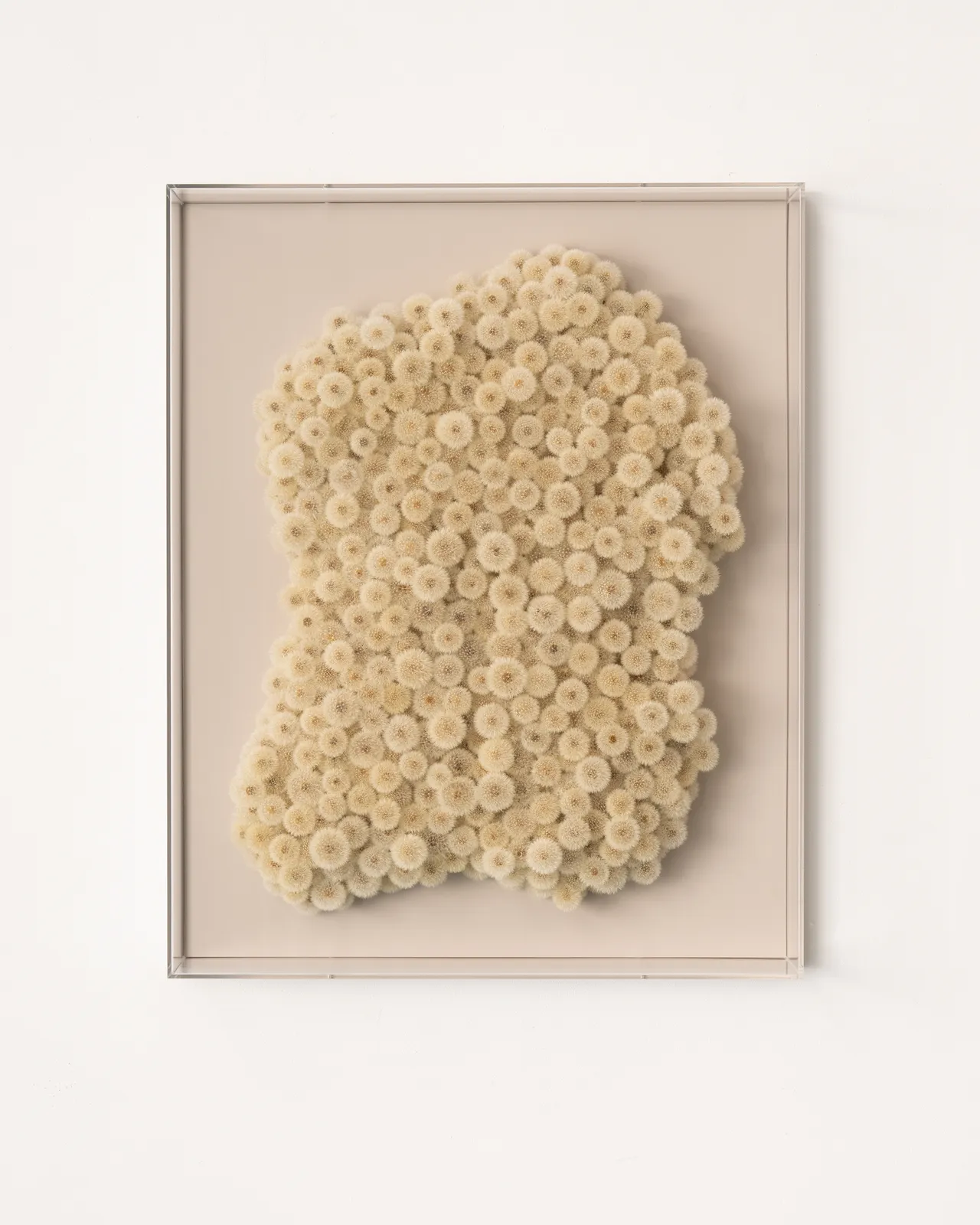 Hilde Trip, A cloud full of wishes