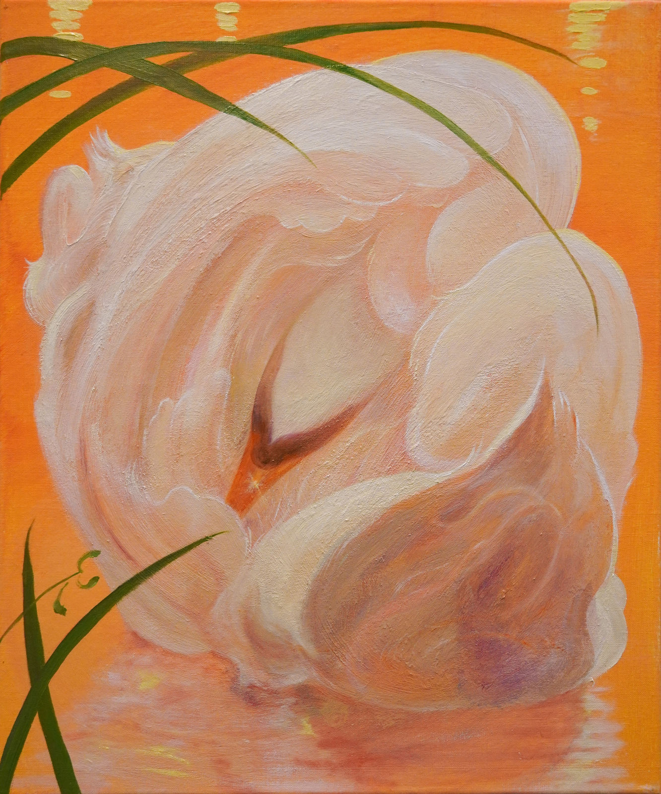 Haevan Lee, Orange Zone 1