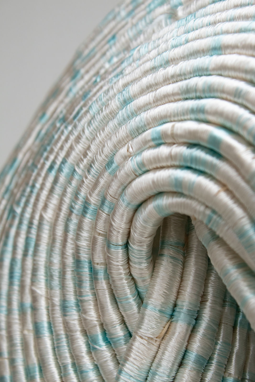 Joana Schneider, Ice Mushroom