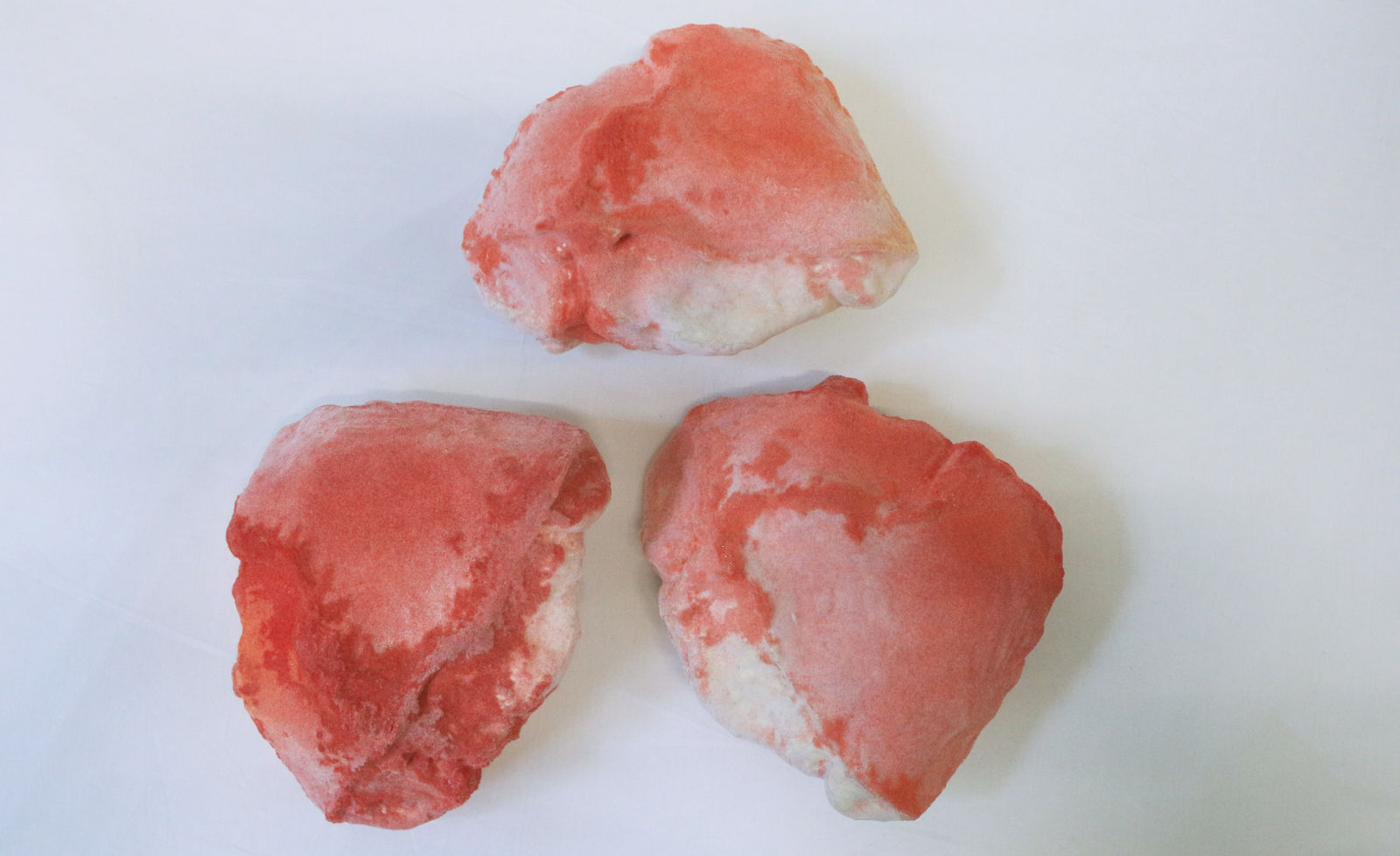 Pedro Matias, Ruby Alcyonacea Callicle II