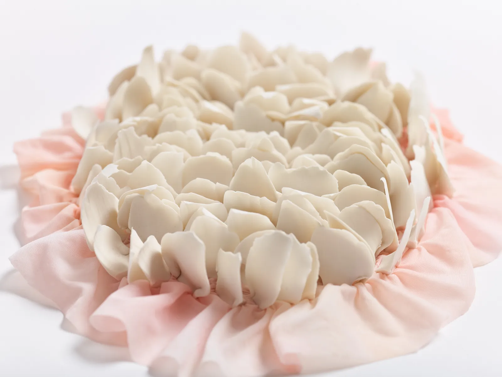 Daniela Bergschneider, Untitled 2024