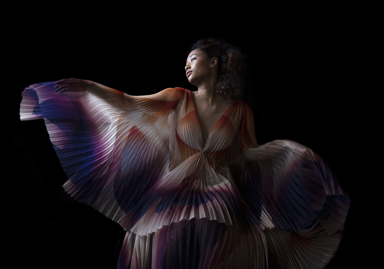 Carla van de Puttelaar, Synergia Serie - XI