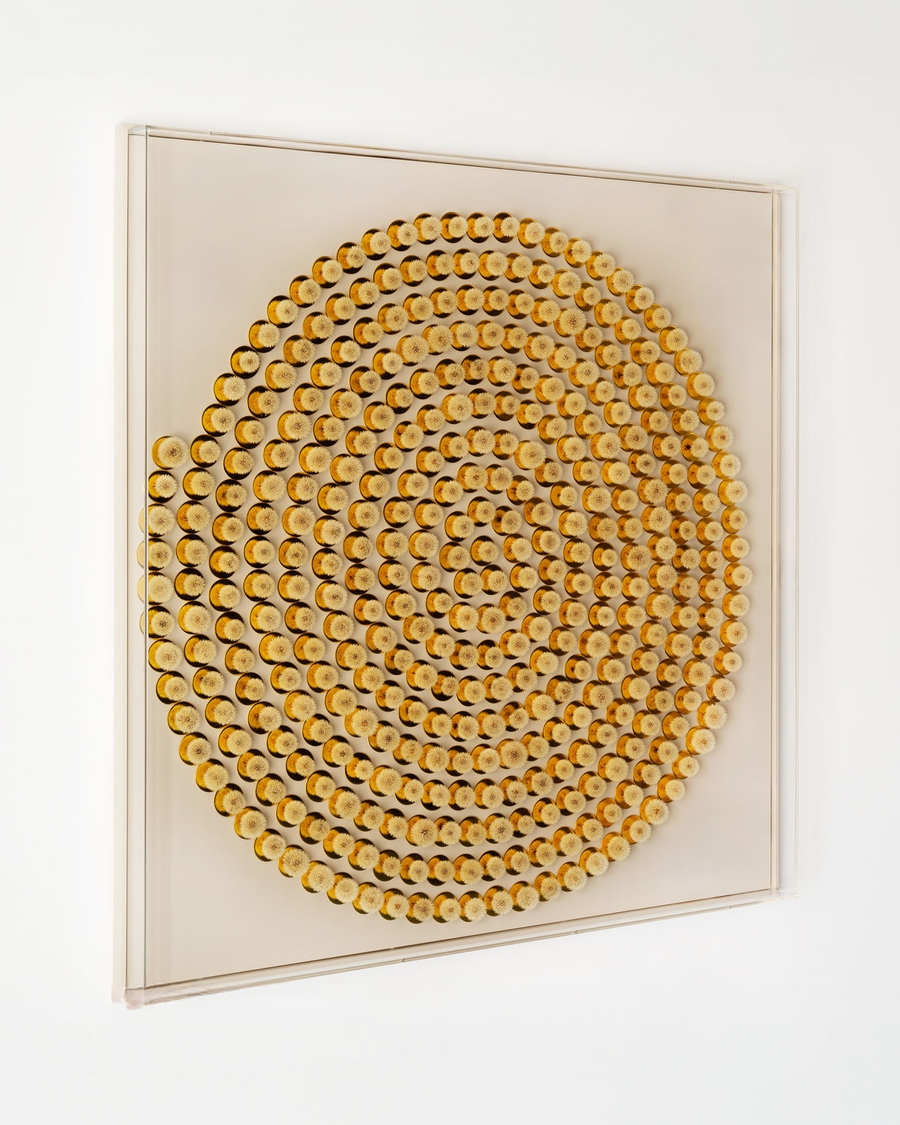 Hilde Trip, Around the Sun