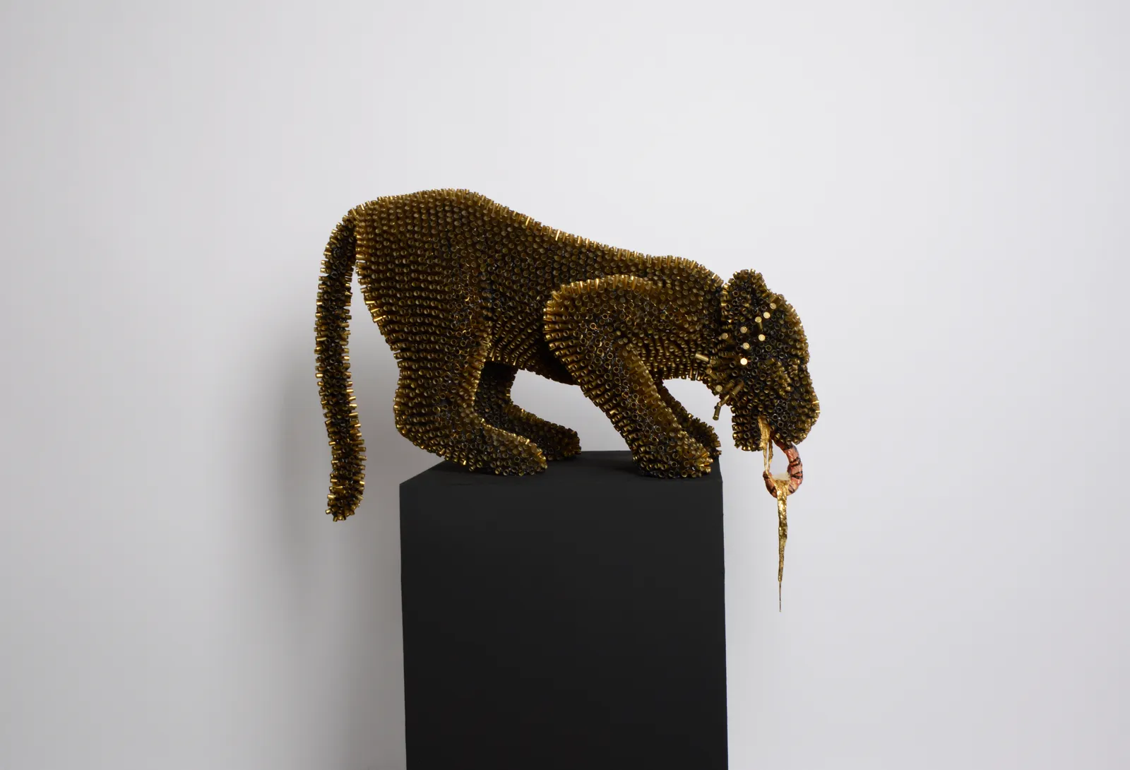 Sebiha Demir, Tiger Tongue