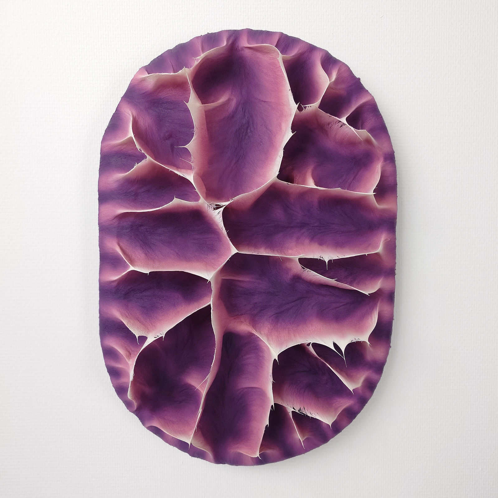 Coen Derickx, Purple and Pink number 5