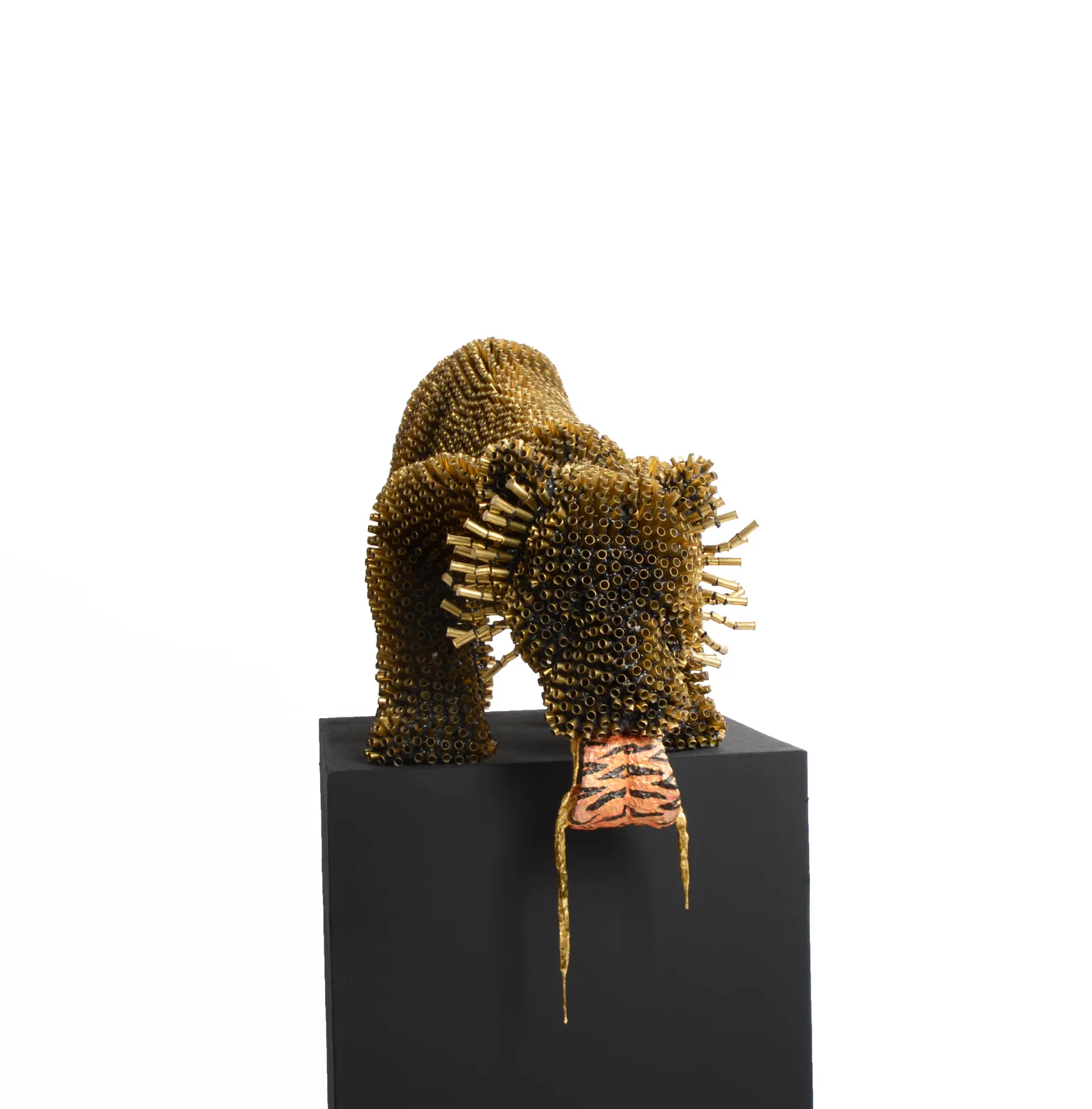 Sebiha Demir, Tiger Tongue