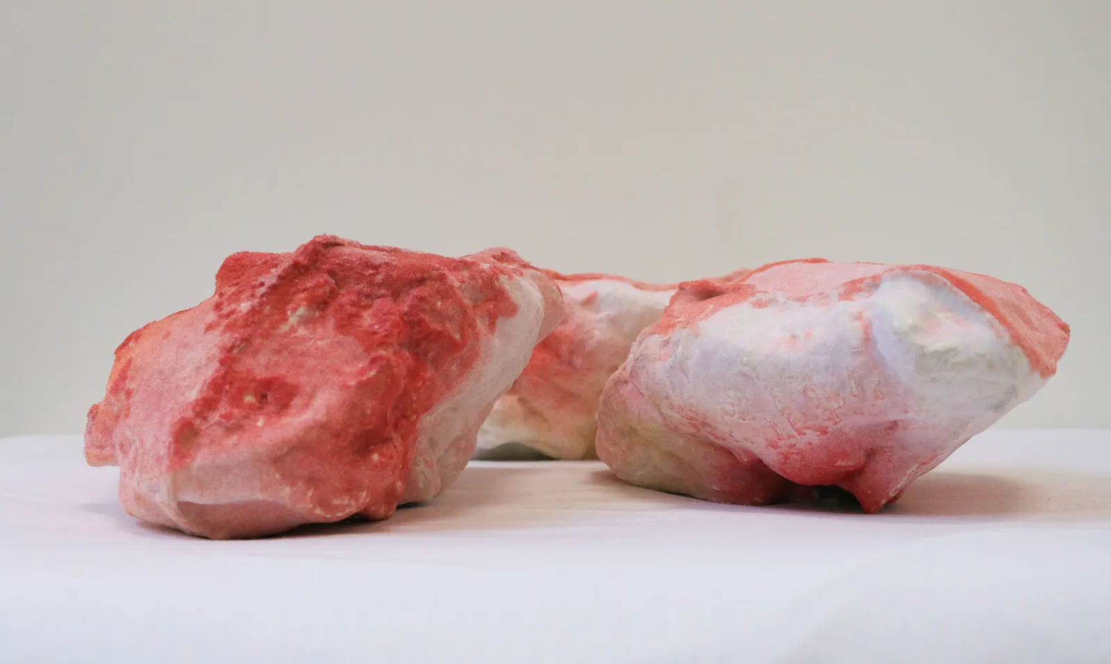 Pedro Matias, Ruby Alcyonacea Callicle I