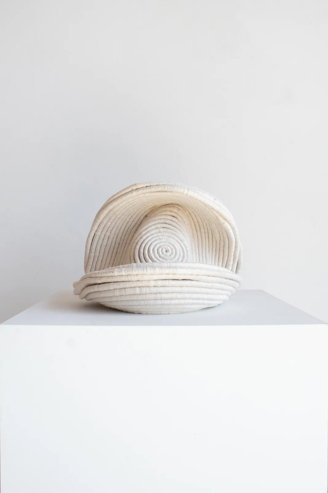 Joana Schneider, Oyster