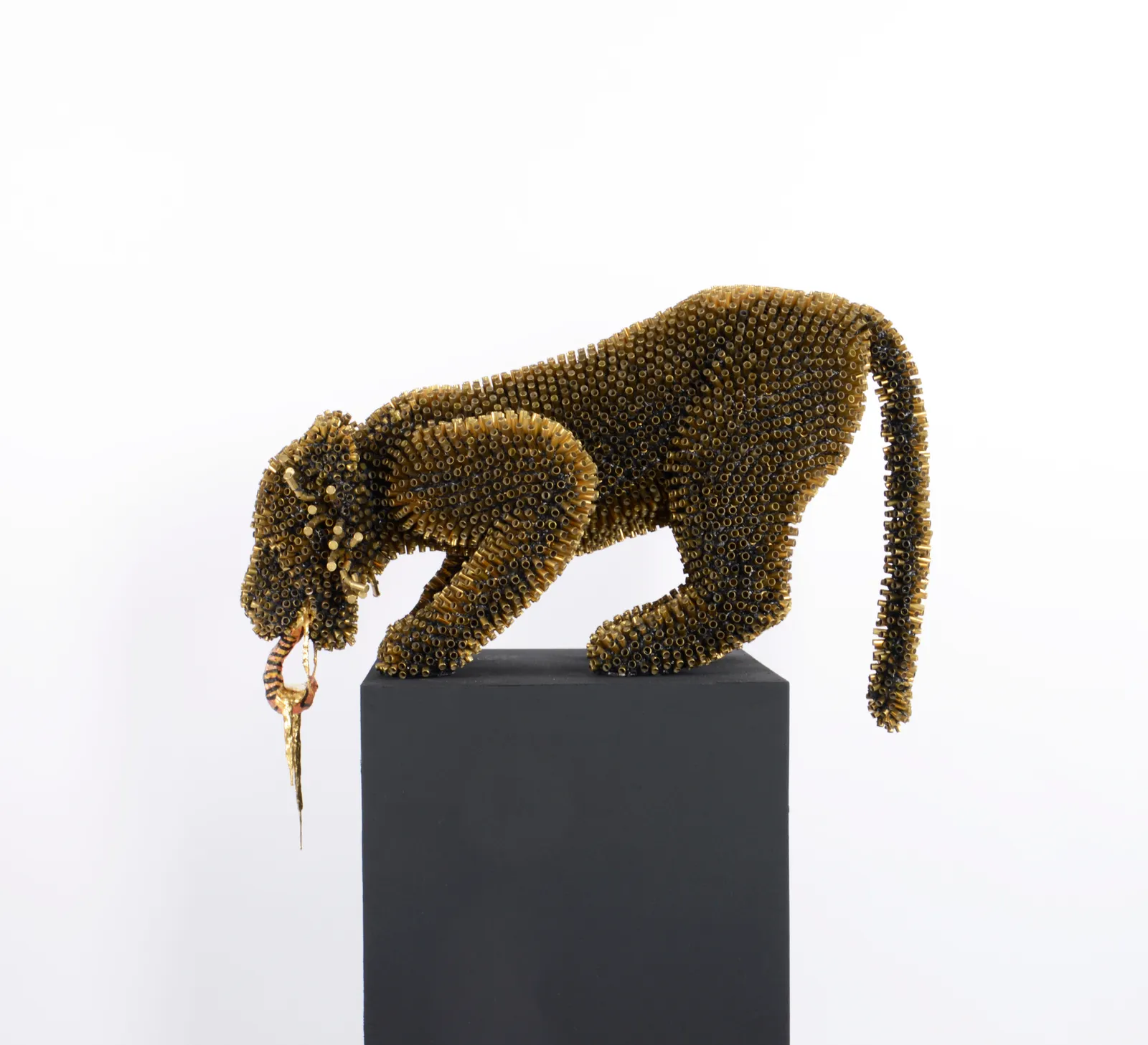 Sebiha Demir, Tiger Tongue