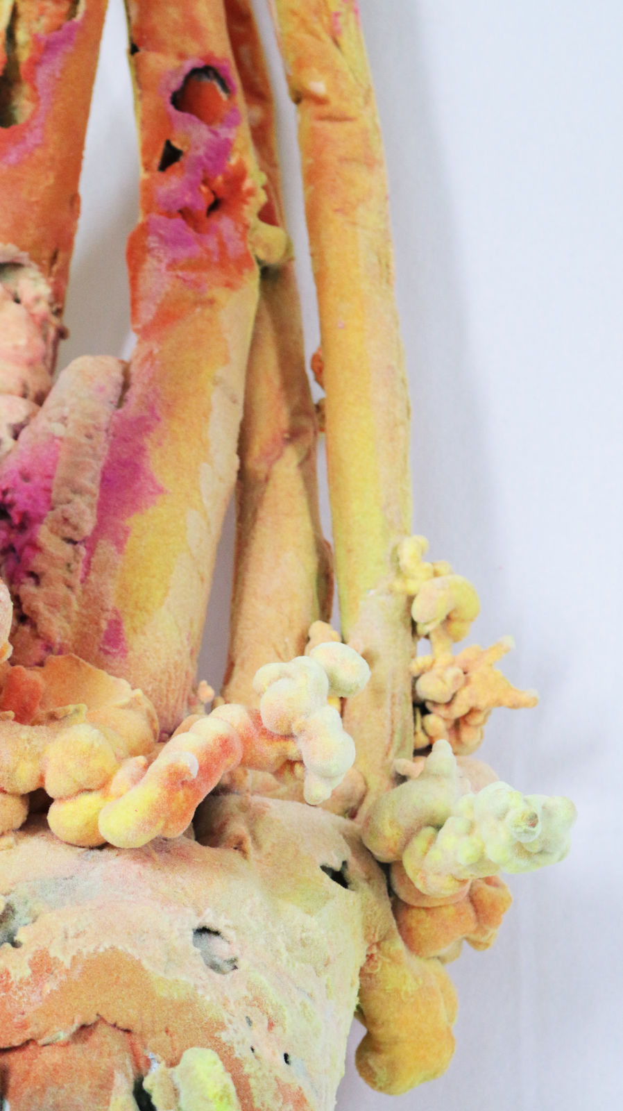 Pedro Matias, Elkhorn Coralia