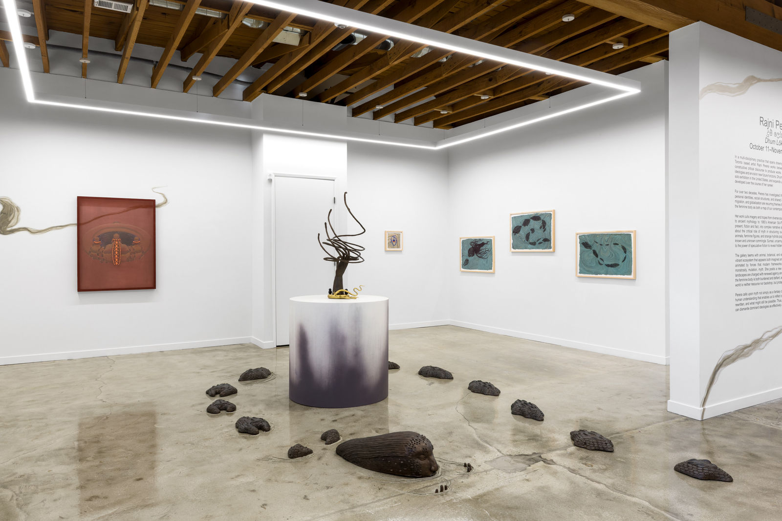 Rajni Perera, Swampgirly, 2025