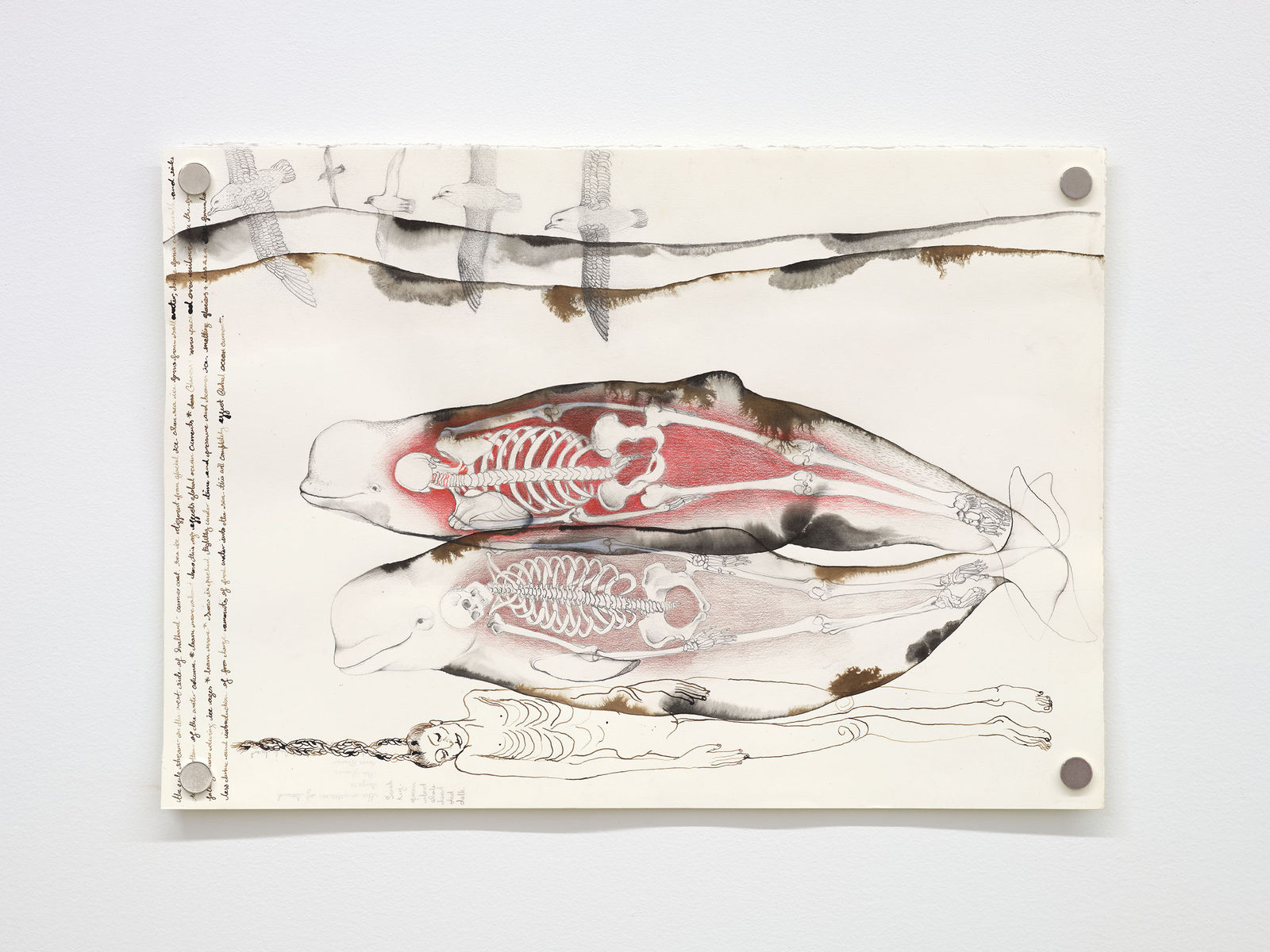 Sahana Ramakrishnan, Untitled, 2025