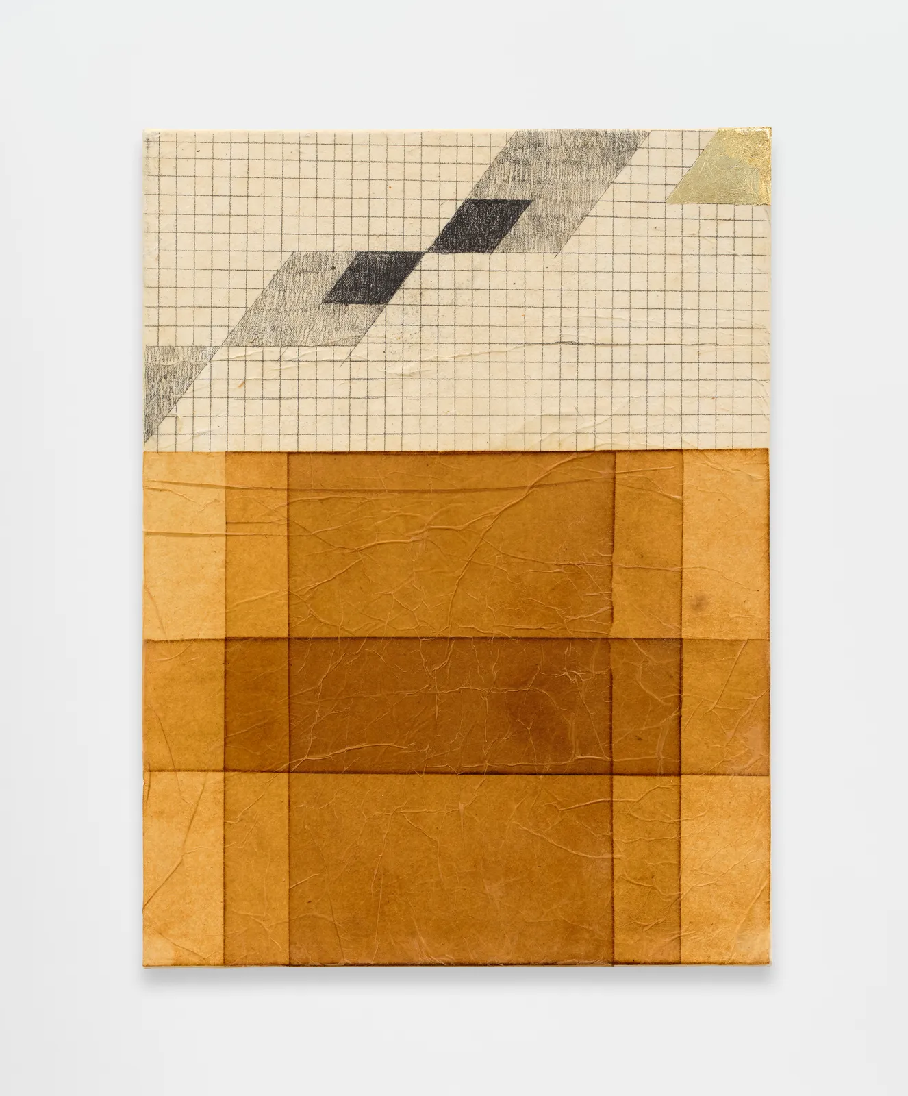 Purvai Rai, Fieldwork 4, 2026