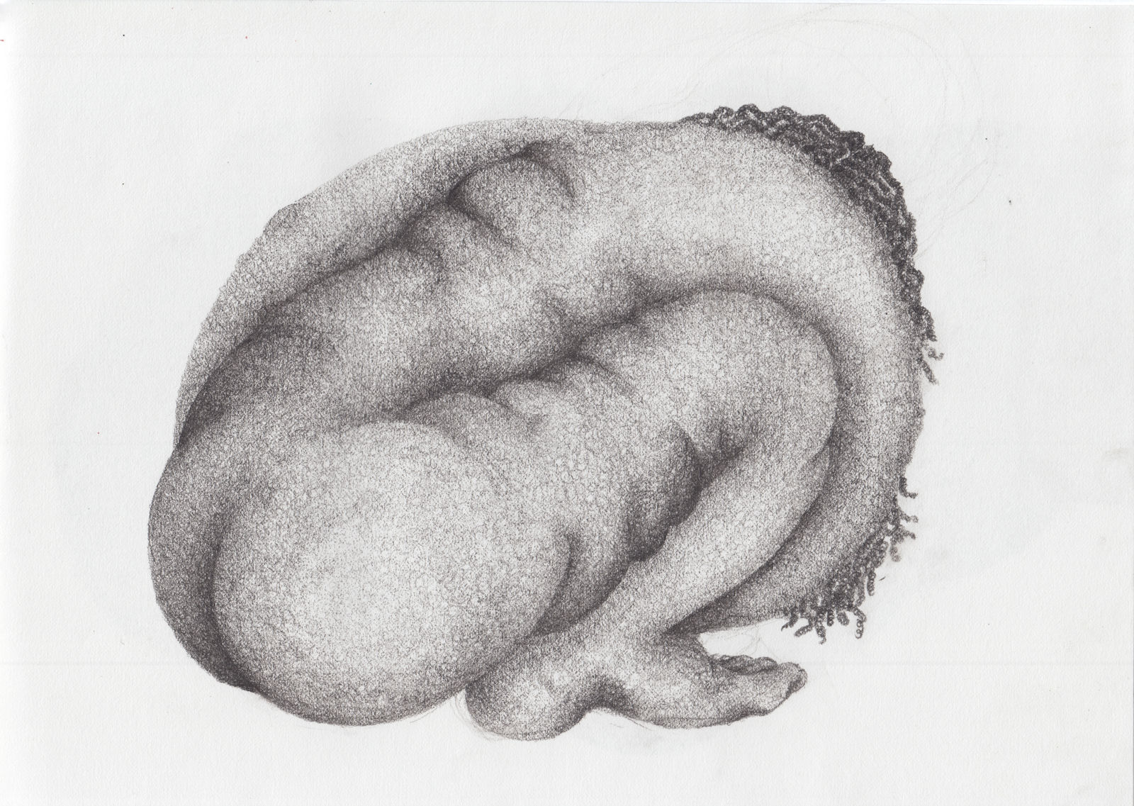 Tuda Muda, Embrace/Compassion 2, 2021