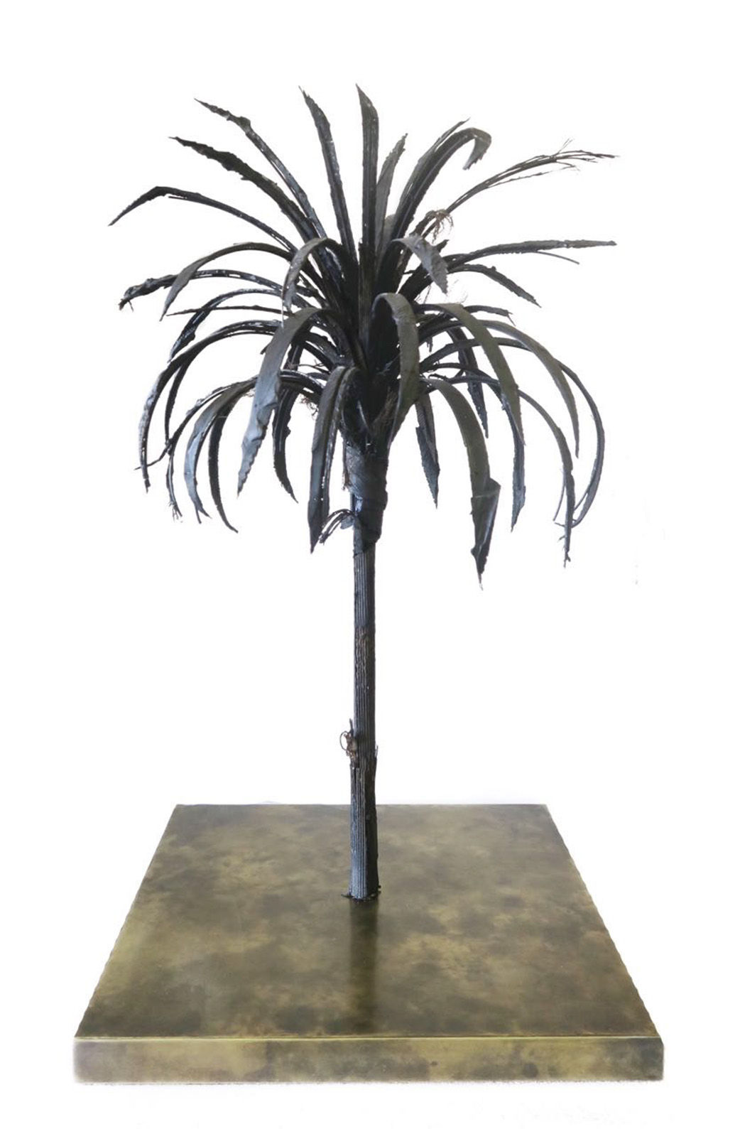 Douglas White, Black Palm, 2018