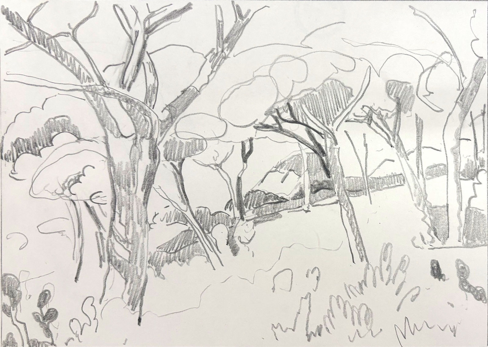 Tim Braden, Uncatalogued, 2024