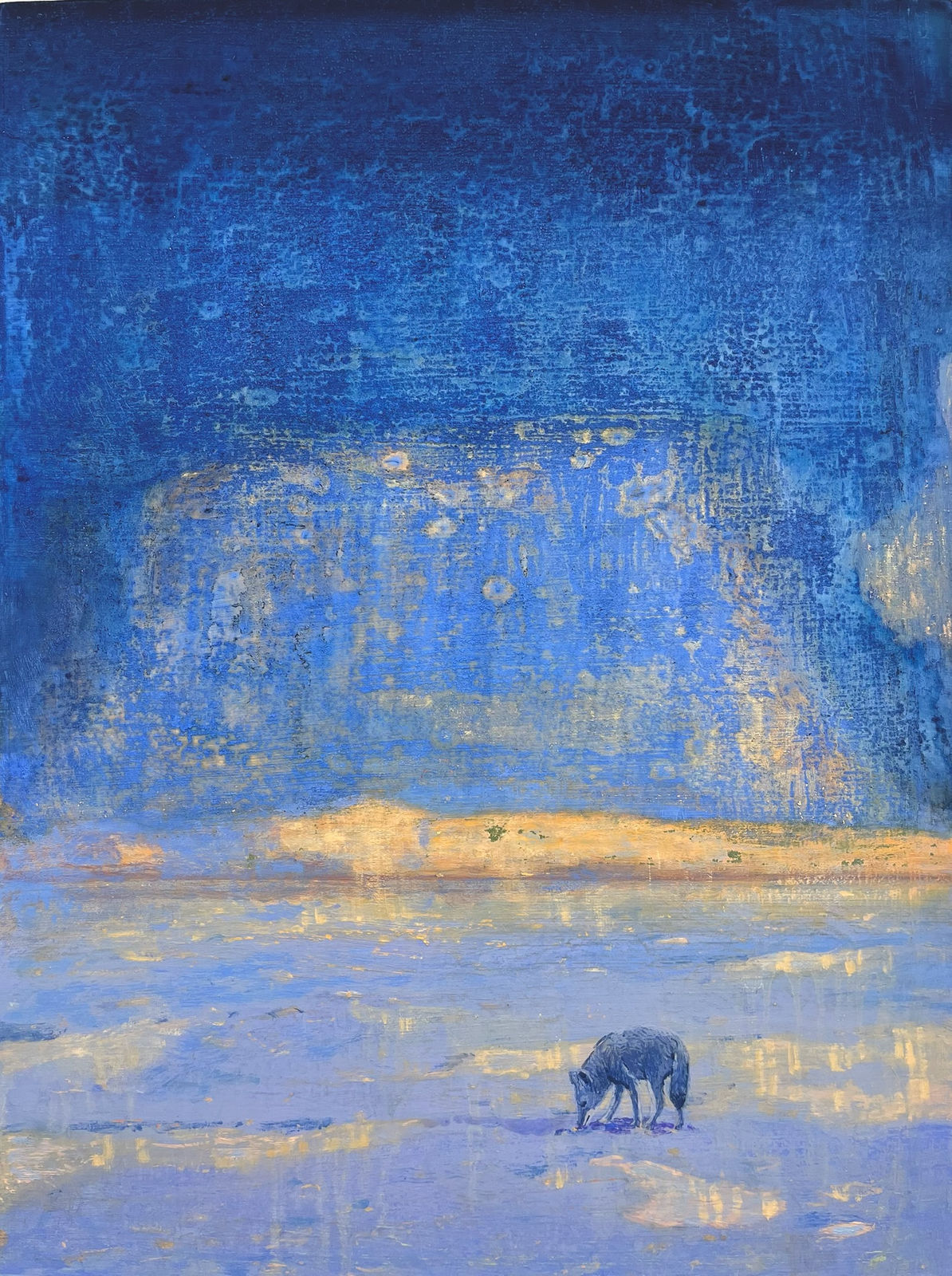 Barry McGlashan, The Desert After Rain, 2024