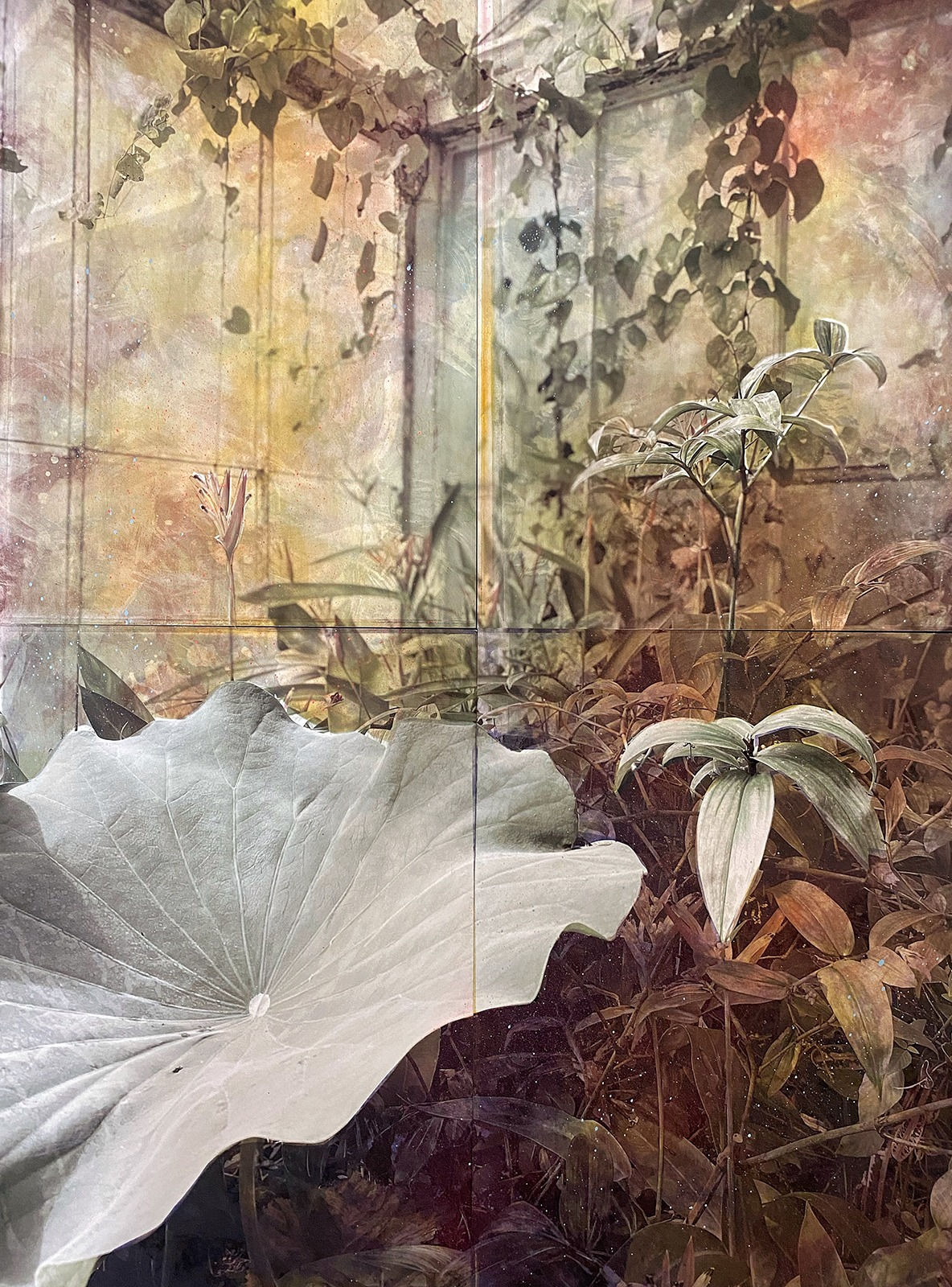 Kristina Chan, Jardin des Plantes 2, 2023