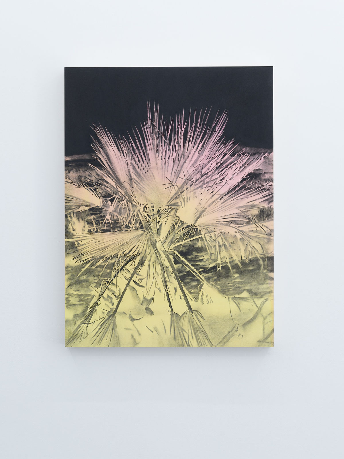 Andy Mister, Joshua Tree, 2020