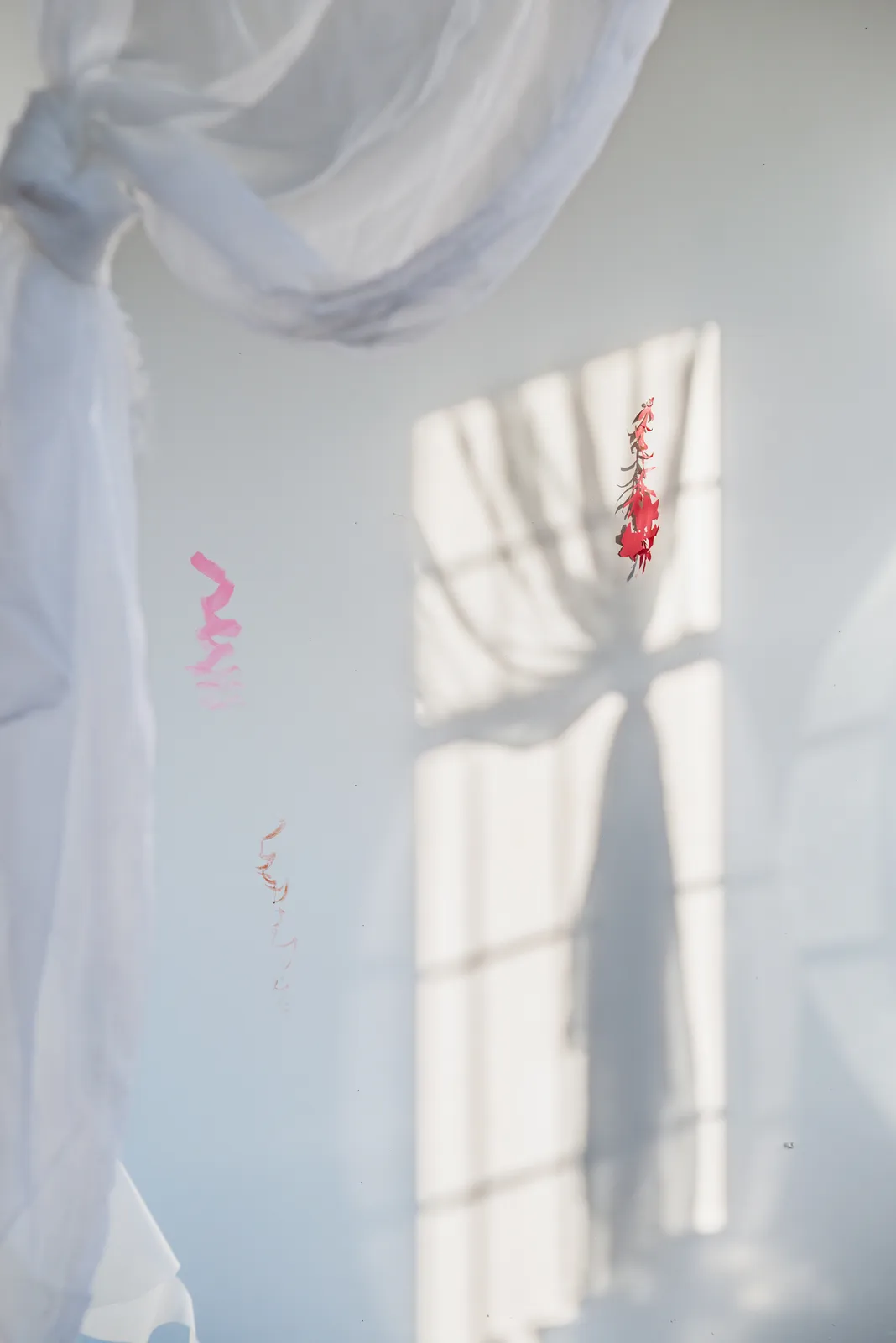 David Gilbert, Curtains, 2021