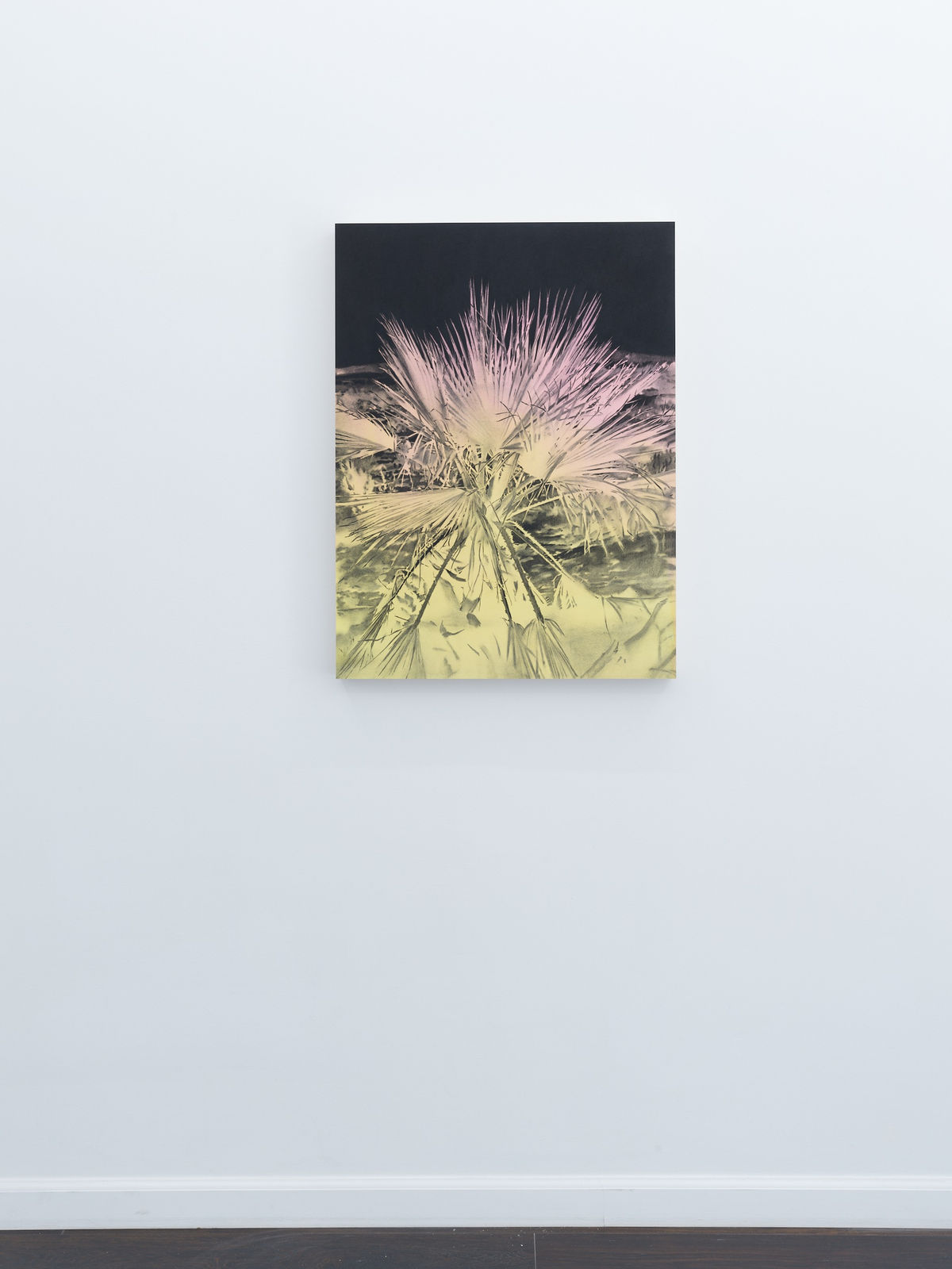 Andy Mister, Joshua Tree, 2020