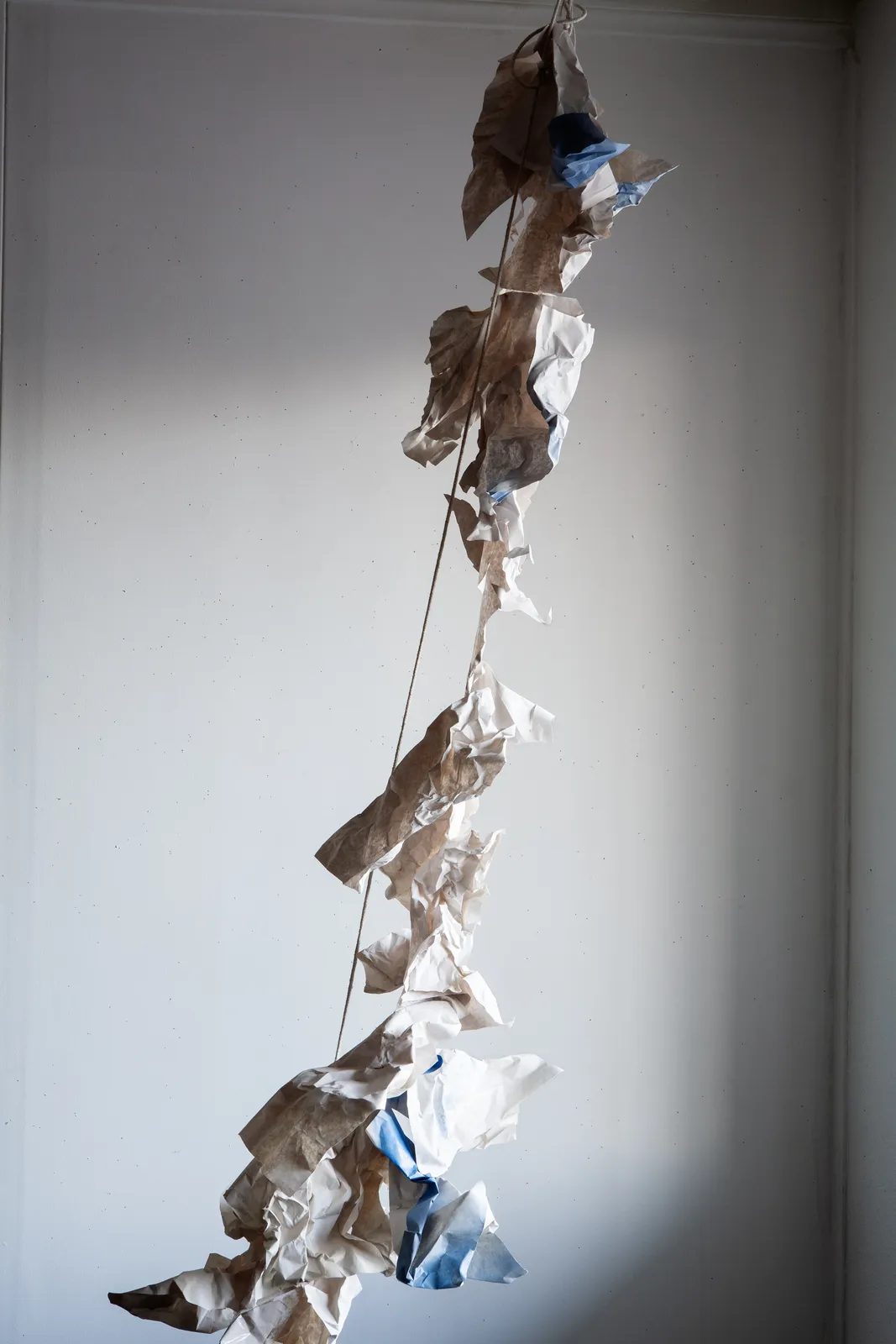 David Gilbert, Nimbus, 2009