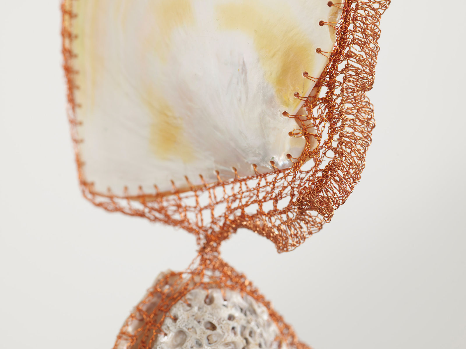 ektor garcia, conchotas (2.0), 2023-2025