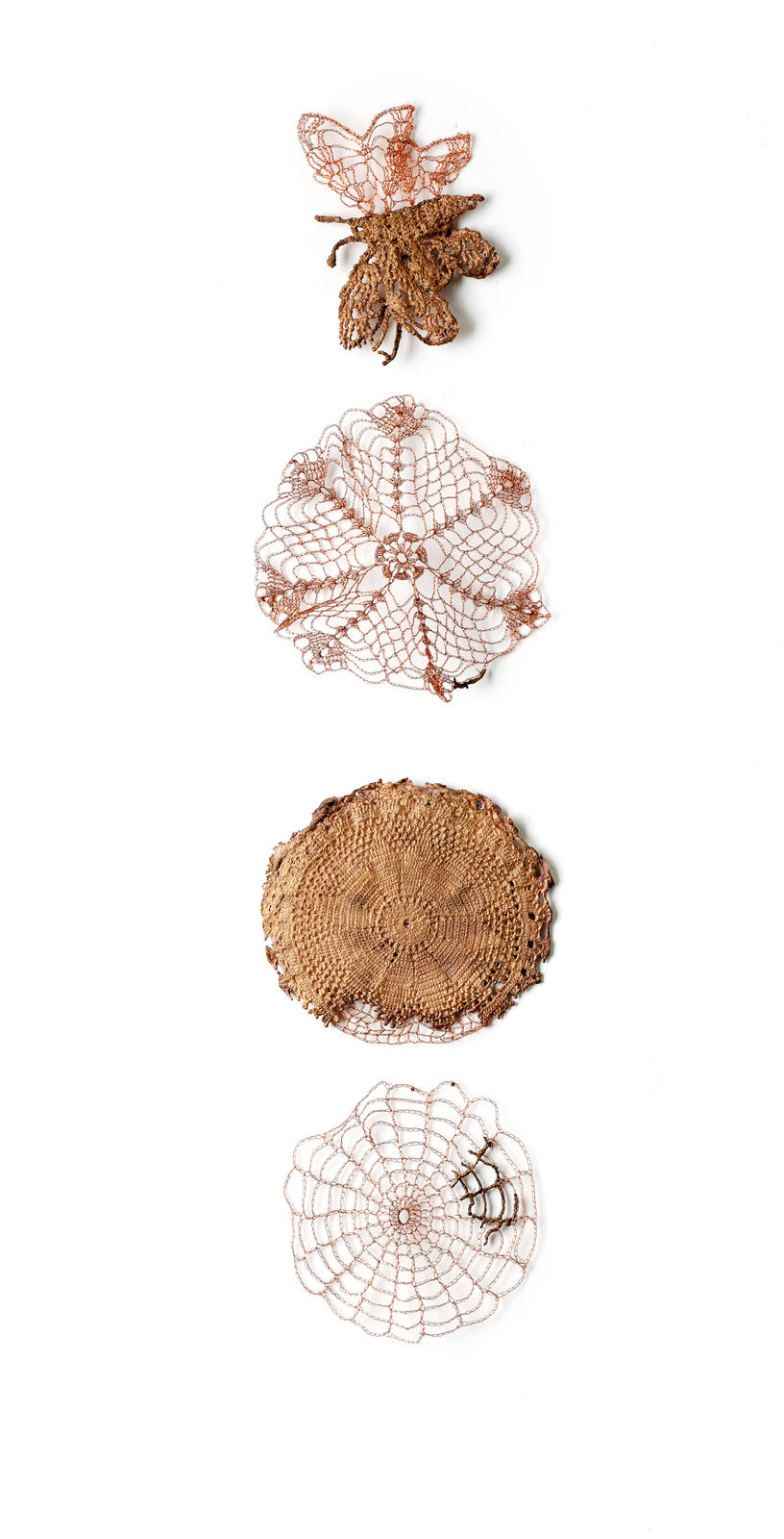 ektor garcia, doilies, 2021