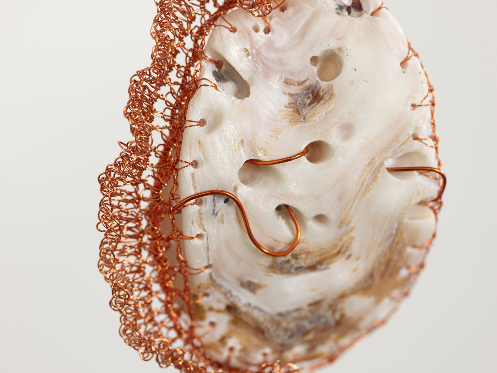 ektor garcia, conchotas (2.0), 2023-2025