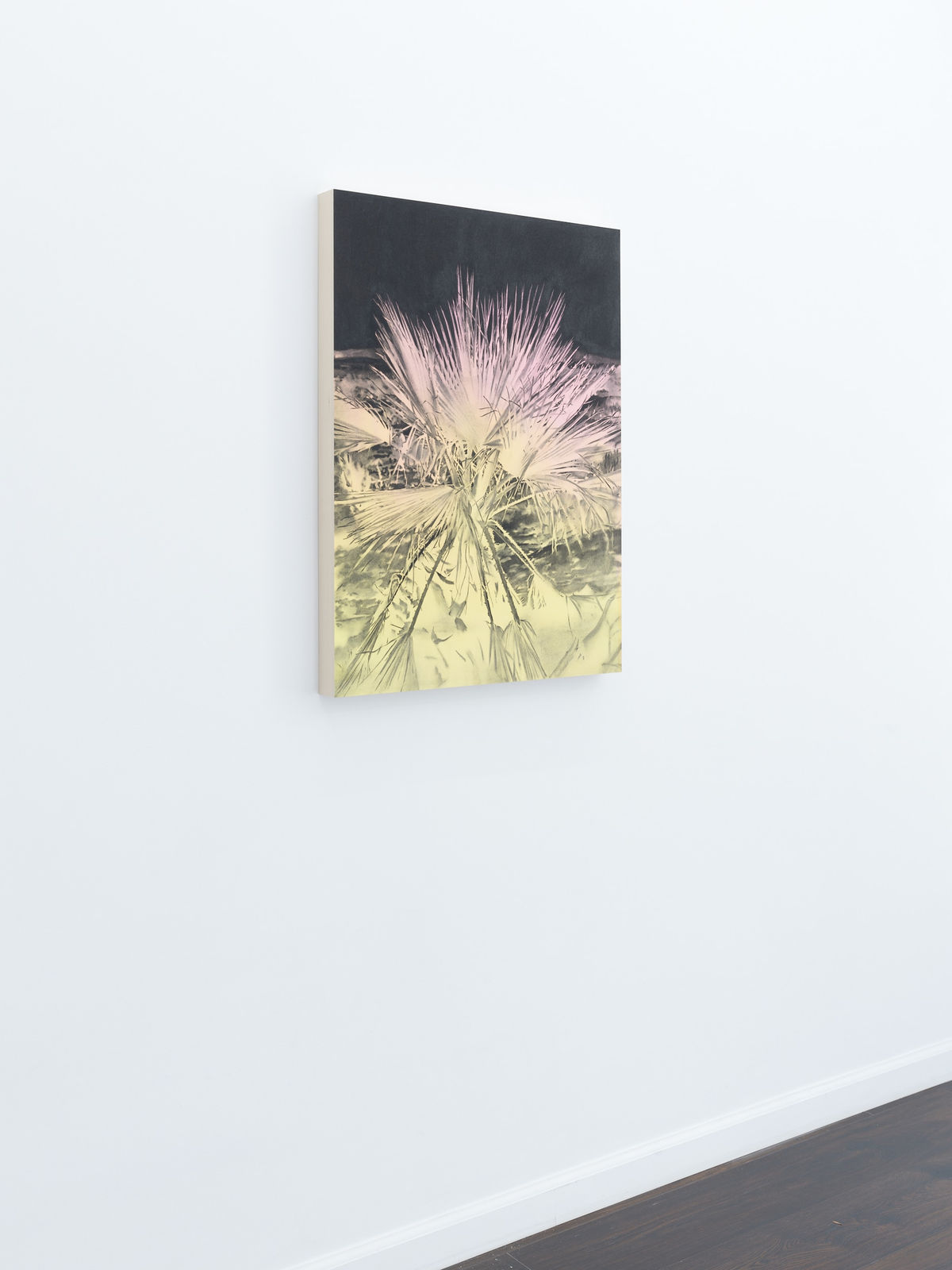 Andy Mister, Joshua Tree, 2020