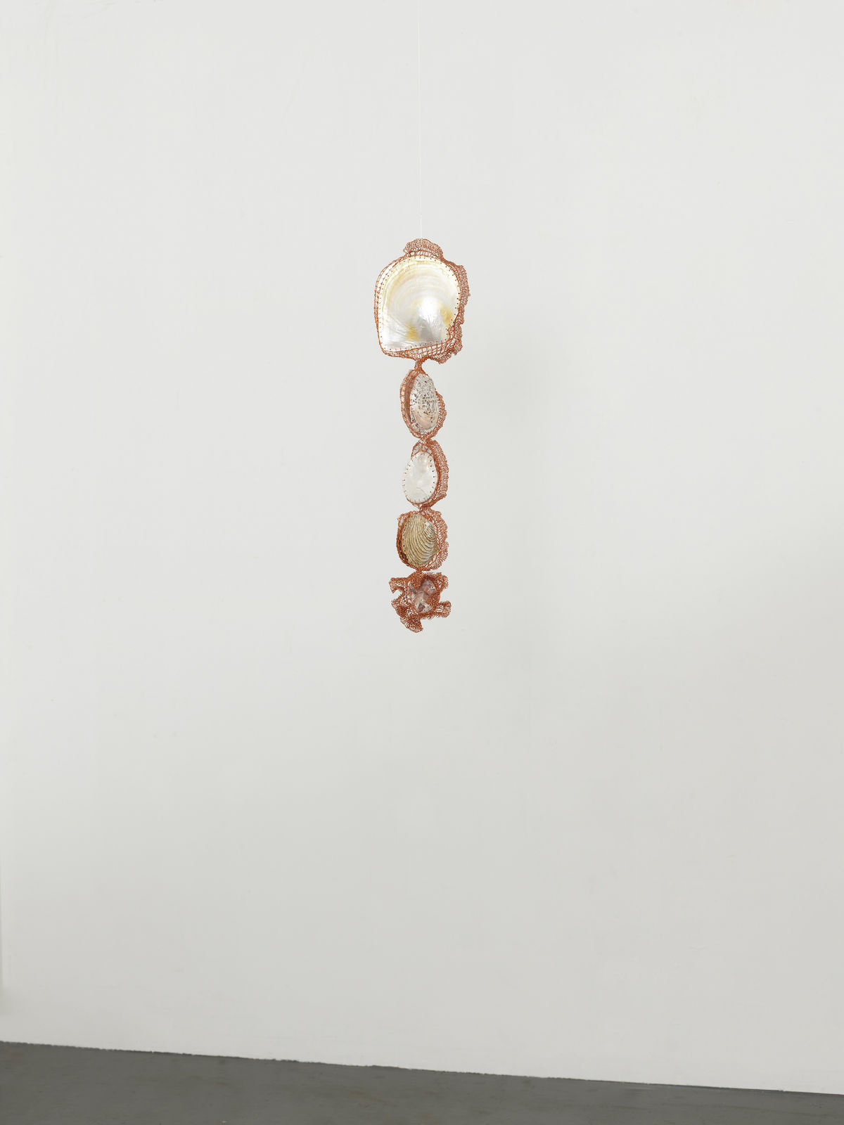 ektor garcia, conchotas (2.0), 2023-2025