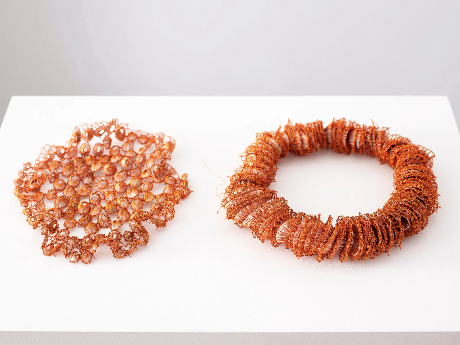 ektor garcia, limpet shells, 2022