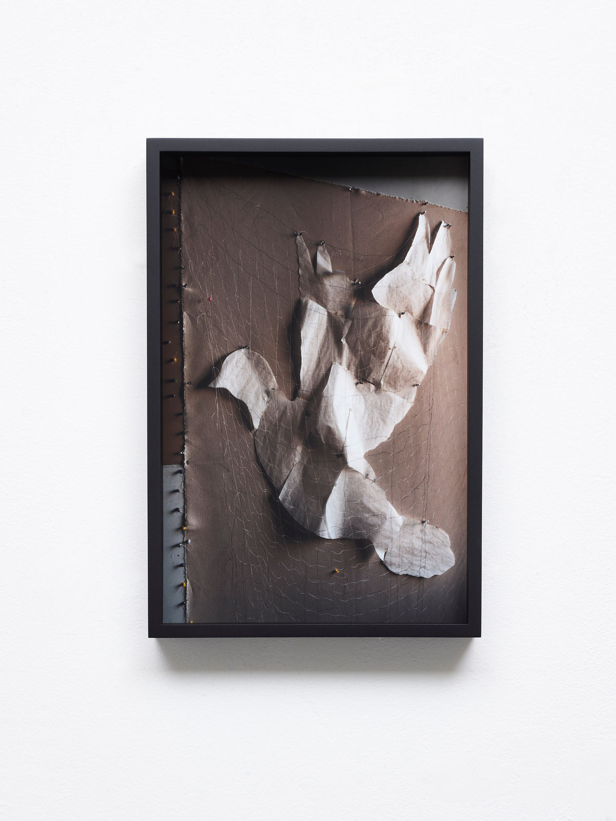 David Gilbert, Captive II, 2021 / 2024