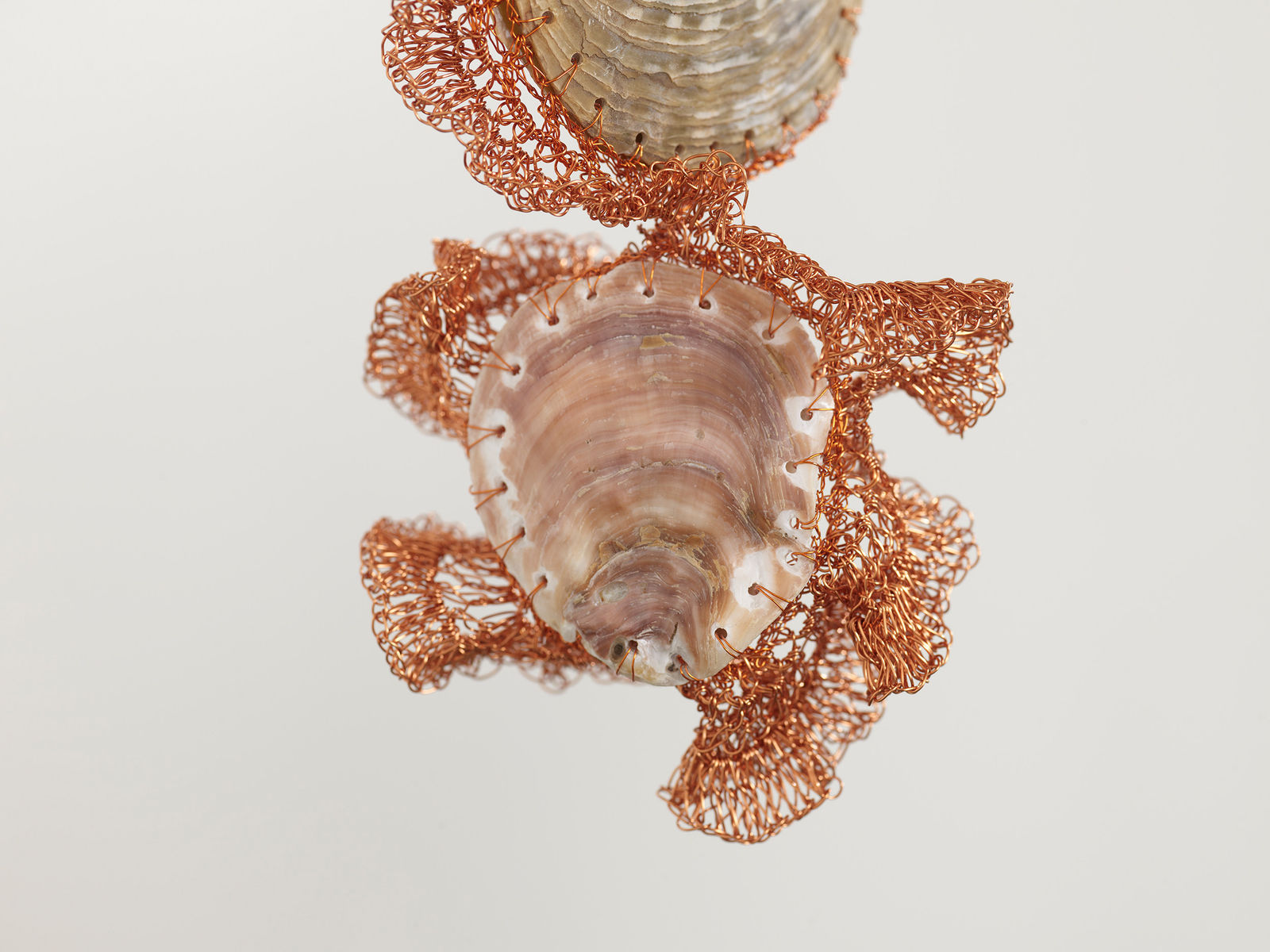 ektor garcia, conchotas (2.0), 2023-2025