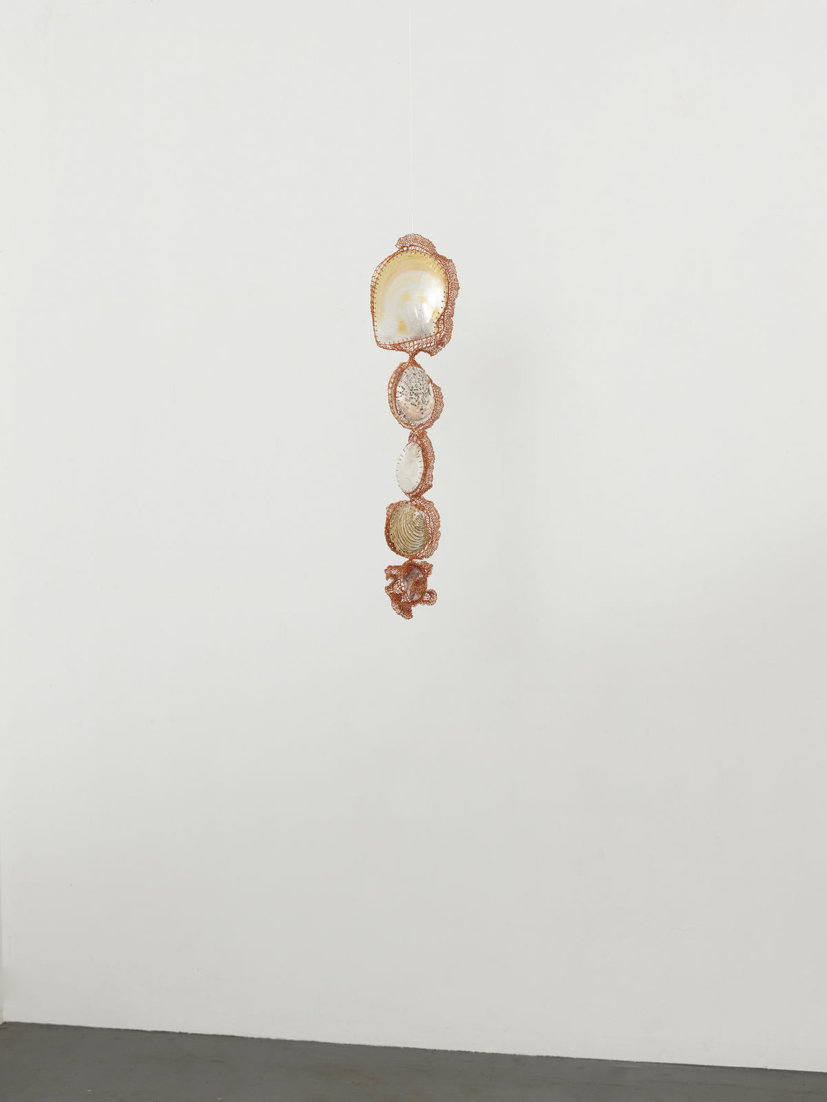 ektor garcia, conchotas (2.0), 2023-2025