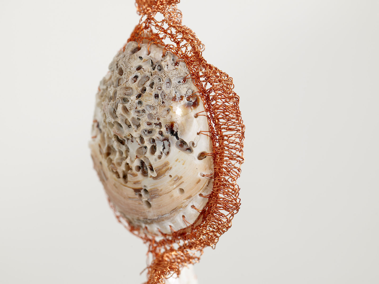 ektor garcia, conchotas (2.0), 2023-2025