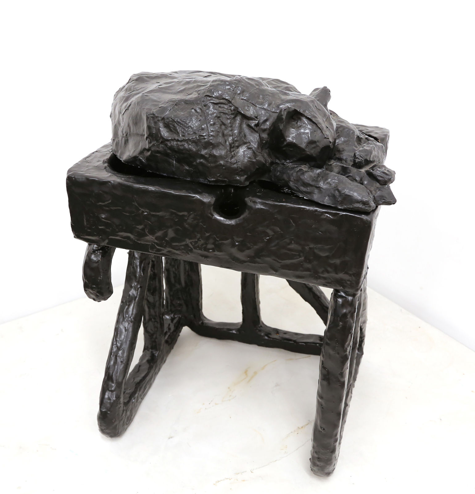 Sahar Khoury, Untitled (Sleeping black cat, Pearl on 2020), 2020