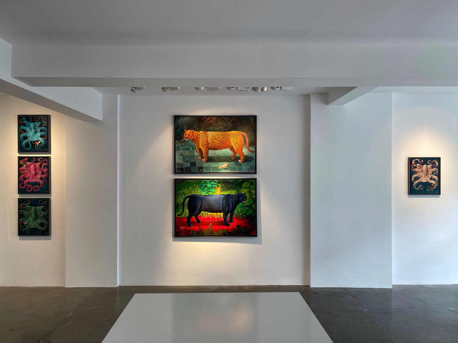 Sylvain Lefebvre, Installation Shot