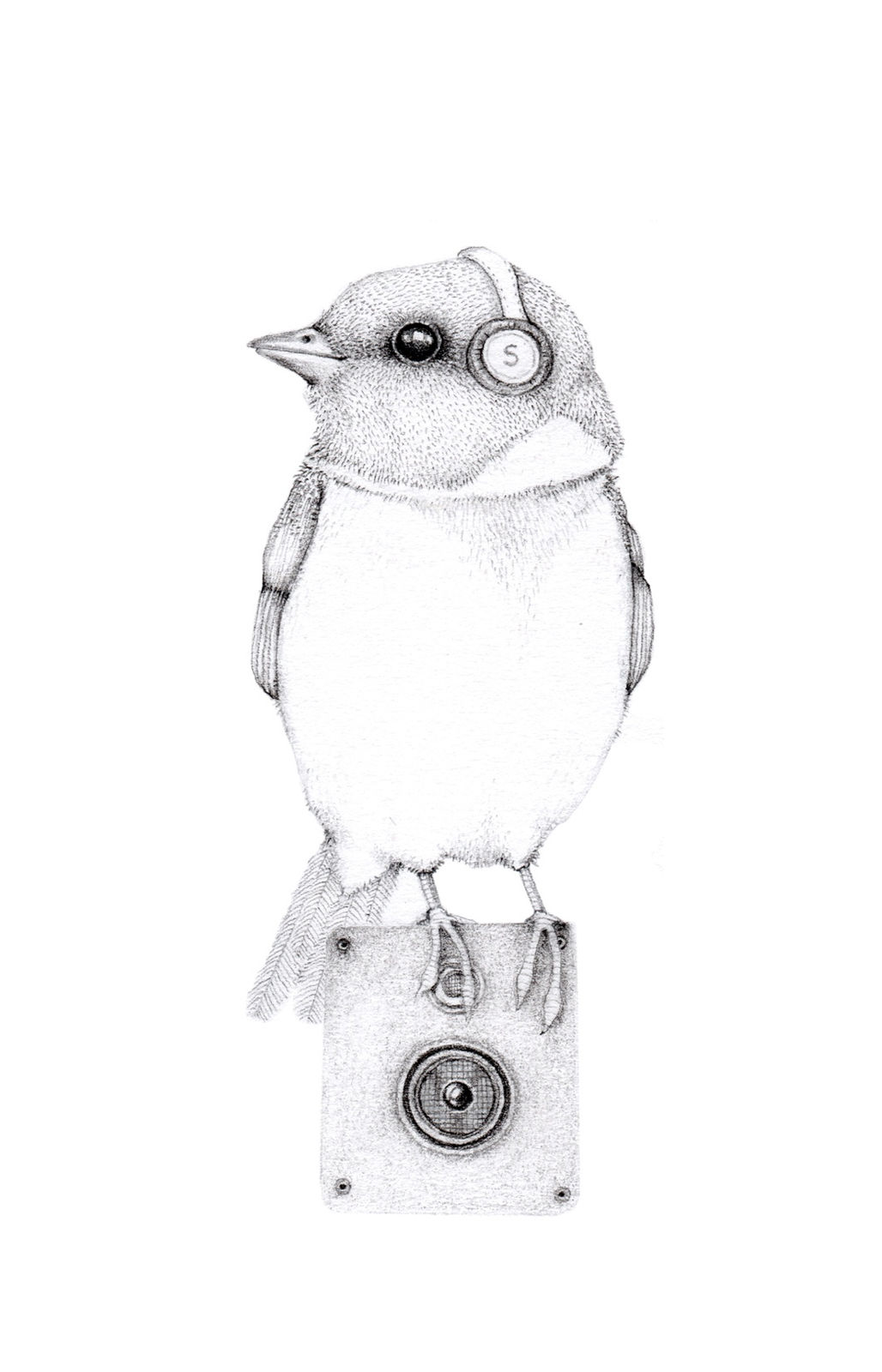 Jackie Case, Song Bird, 2014