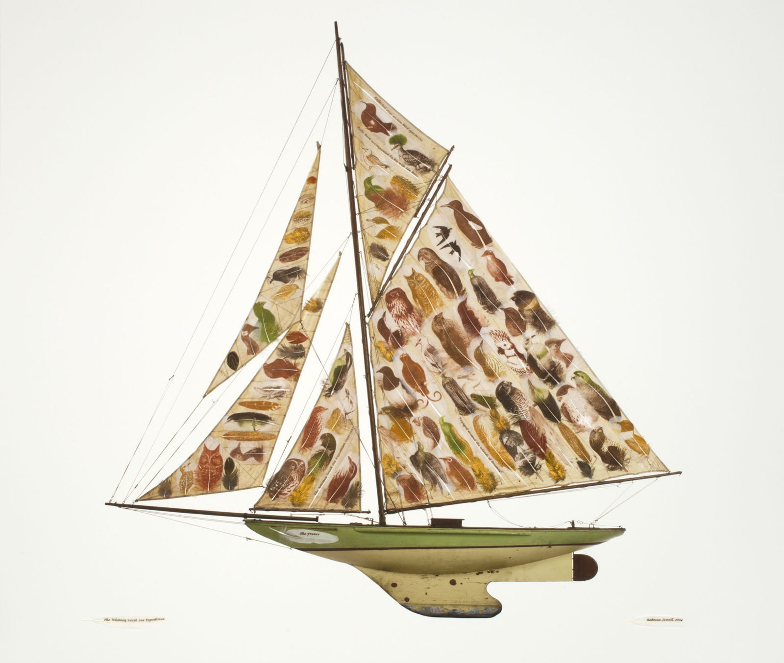 Rebecca Jewell, Whitney South Sea Expedition, 2014