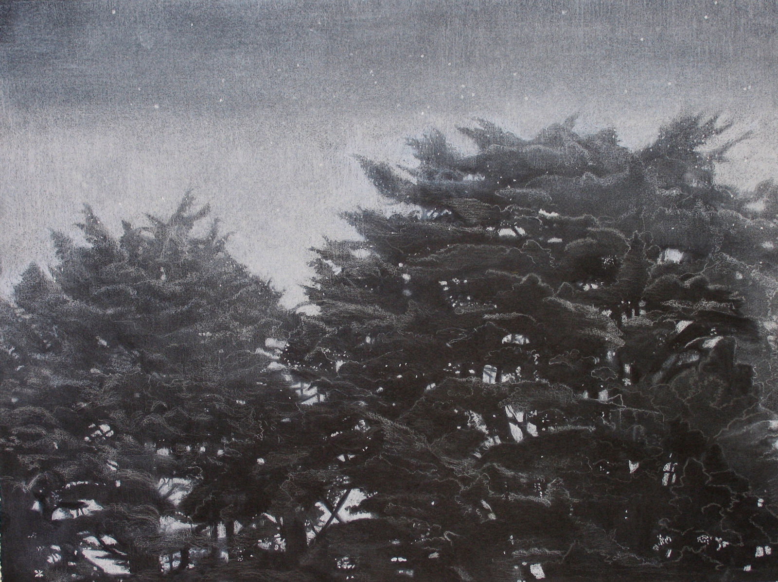 Sheila Clarkson, Trees at Dusk, 2014