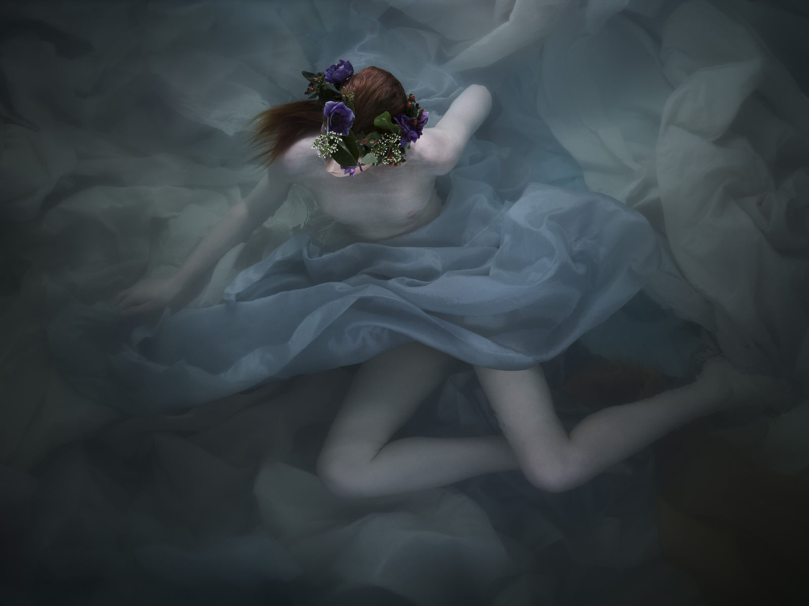 Toby Burrows, Muse, 2017