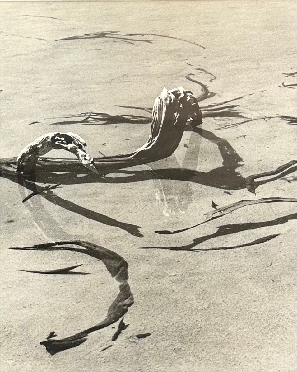 John Cato (c.1926-2011), Shallows, 1985 - 1991