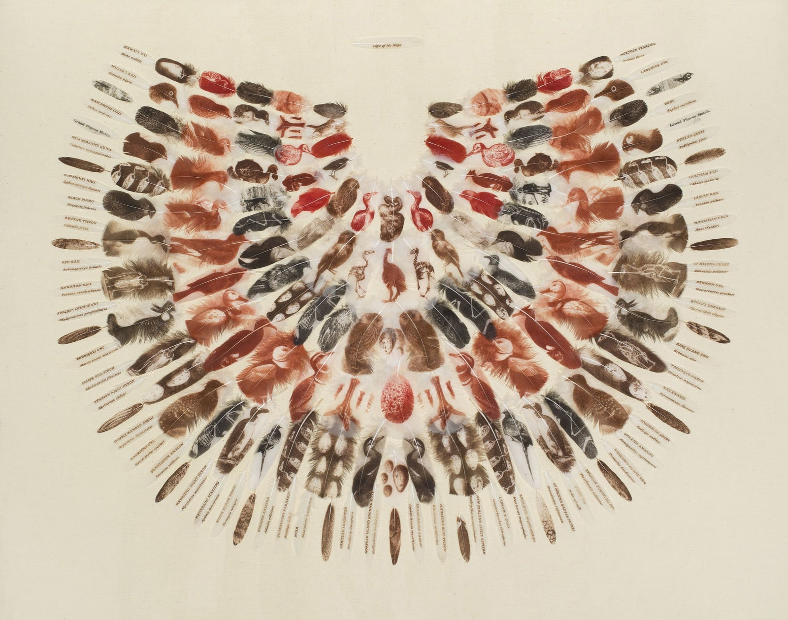 Rebecca Jewell, Cape of No Hope, 2014