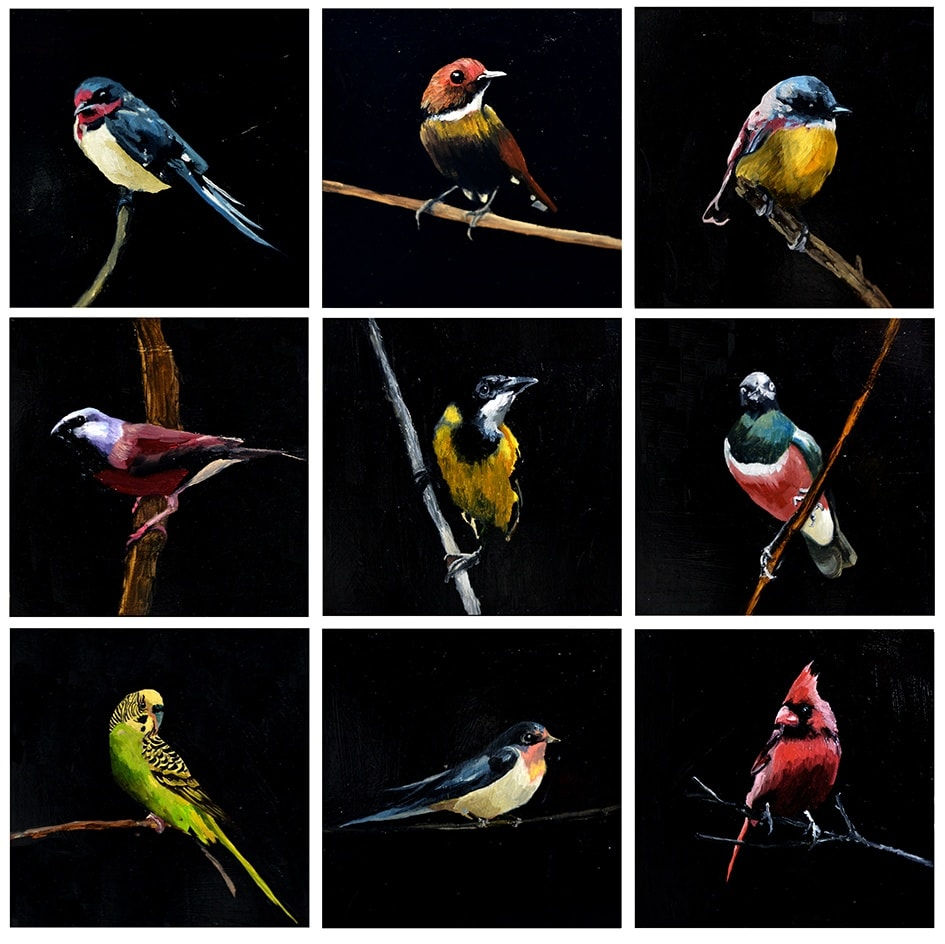 Datsun Tran, Birds, 2014