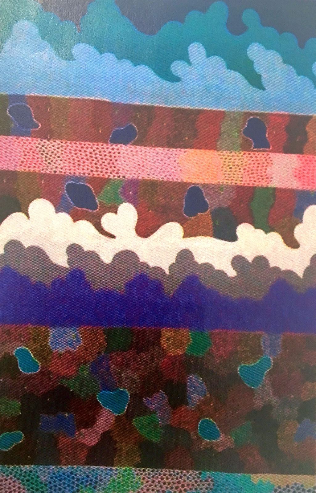 Colleen Kantawarra, Wildflowers