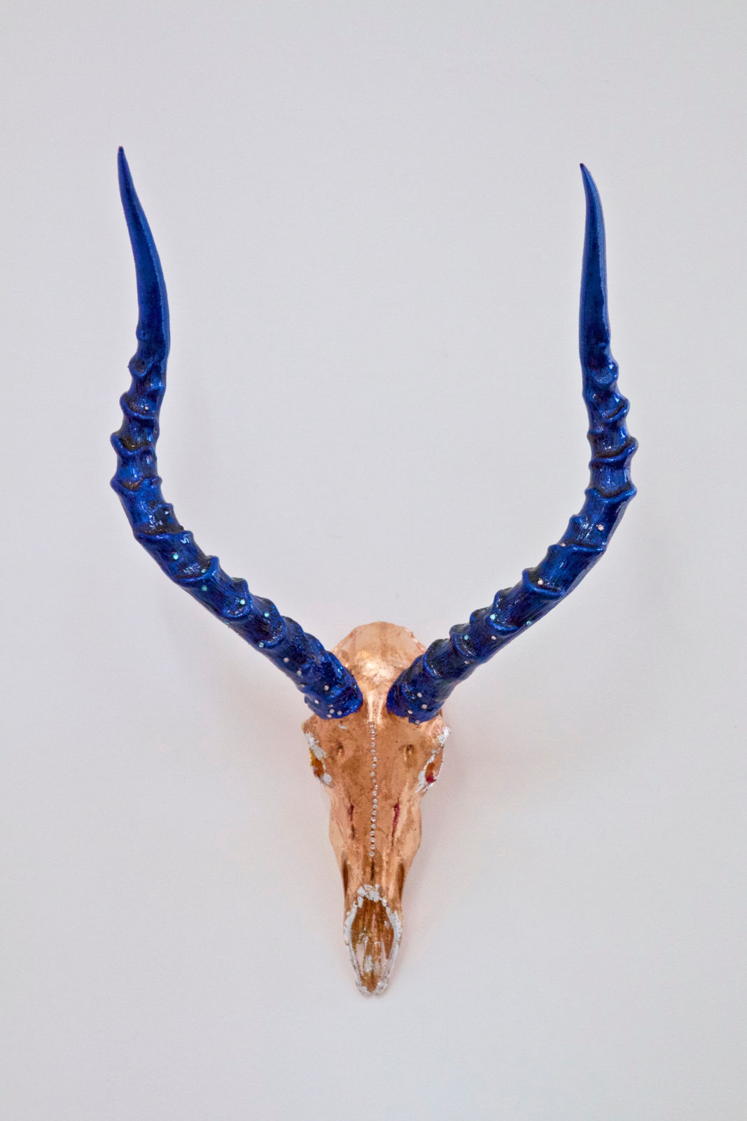 Tracy Lee Griffith, Biza, 2017