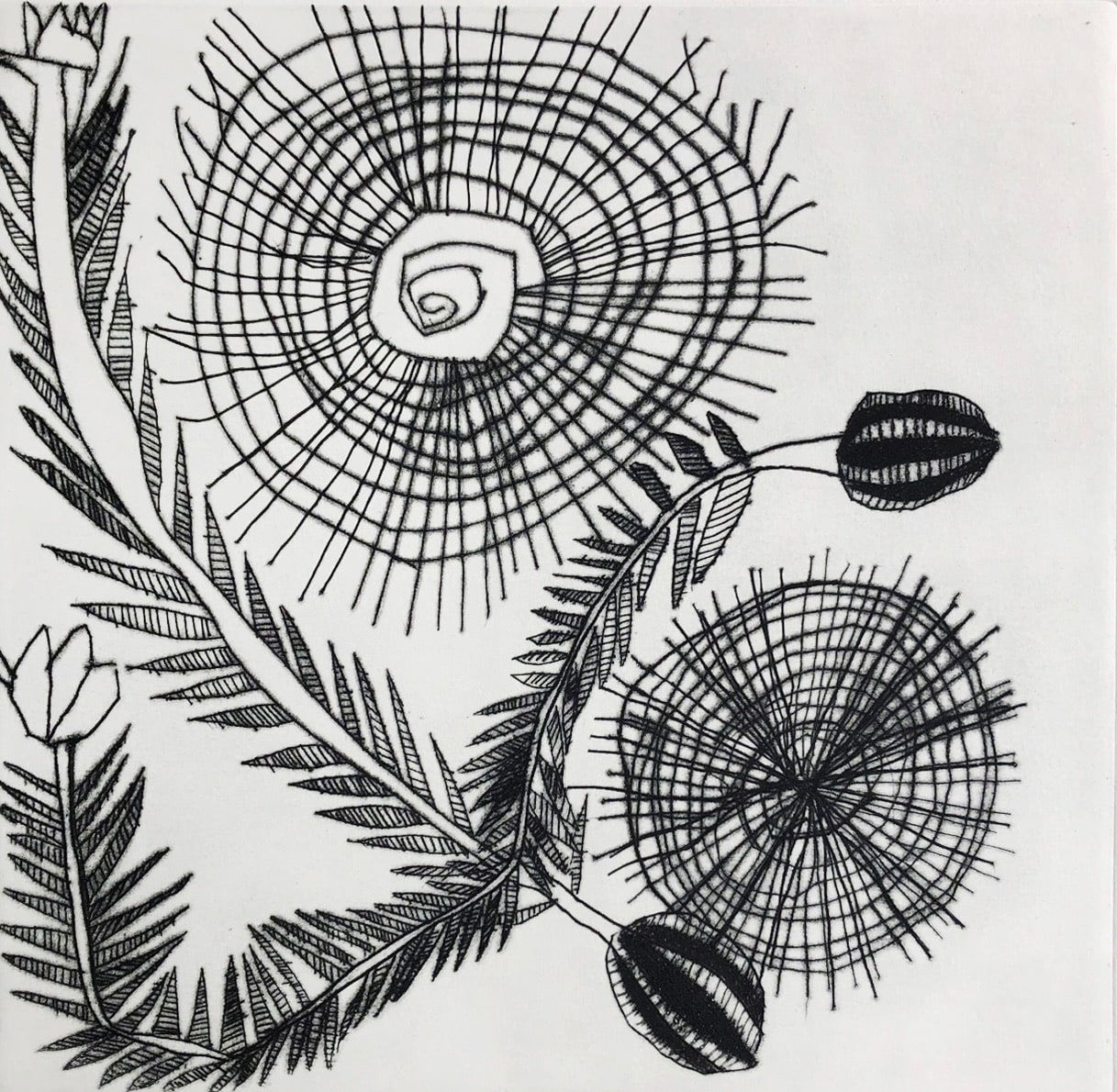 Lena Kurriniya, Marebu and Man-bulubi - Pandonus Mate and Blush Potato, n.d.