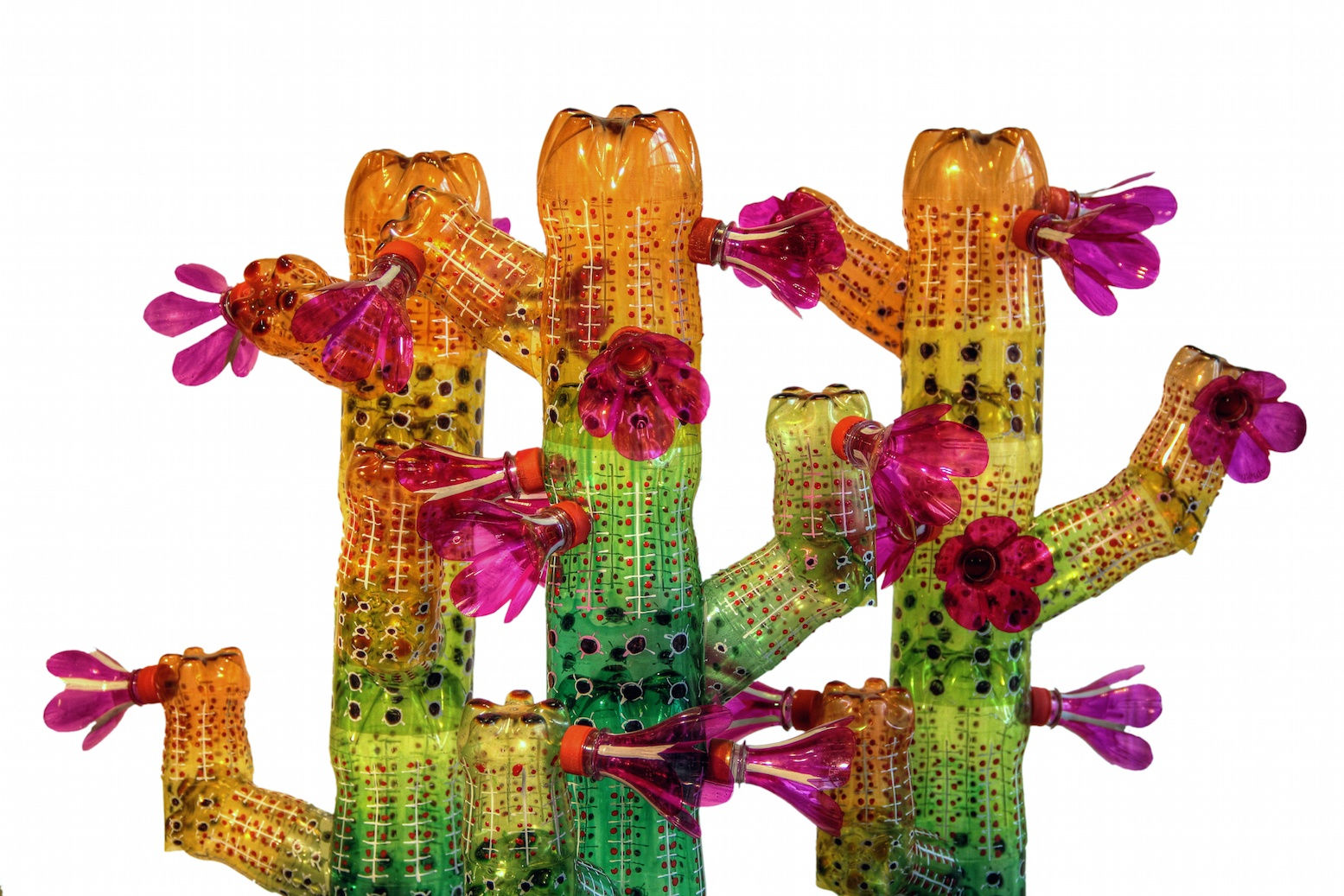 Edgardo Rodriguez, Cactus, 2014